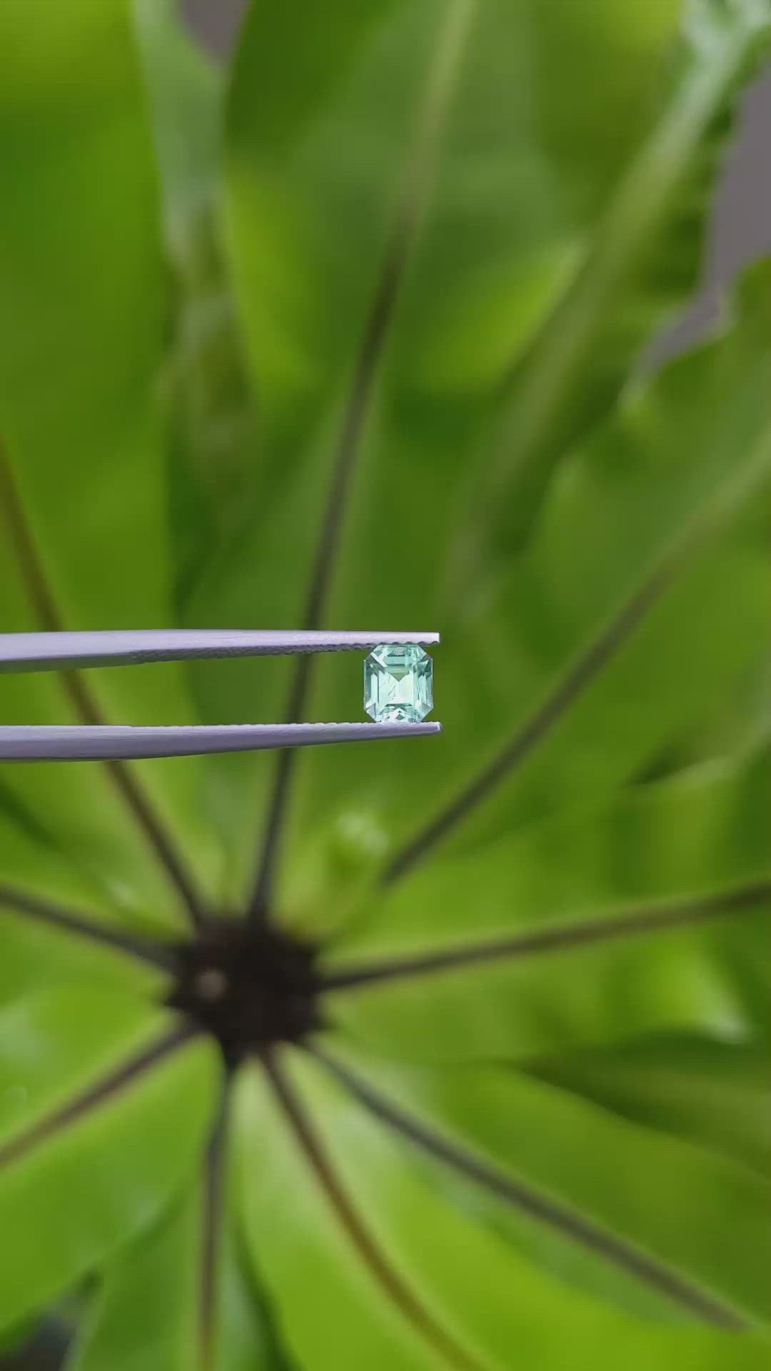 0.61 Ct. Emerald from Russia Size Video