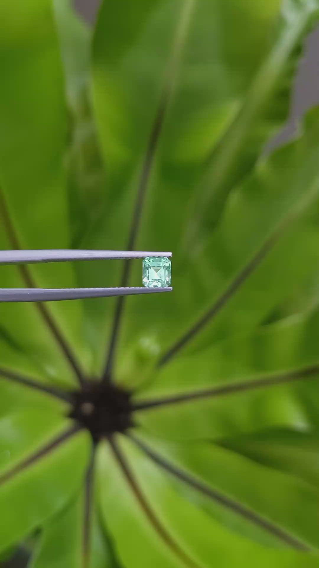 0.56 Ct. Emerald from Russia Size Video