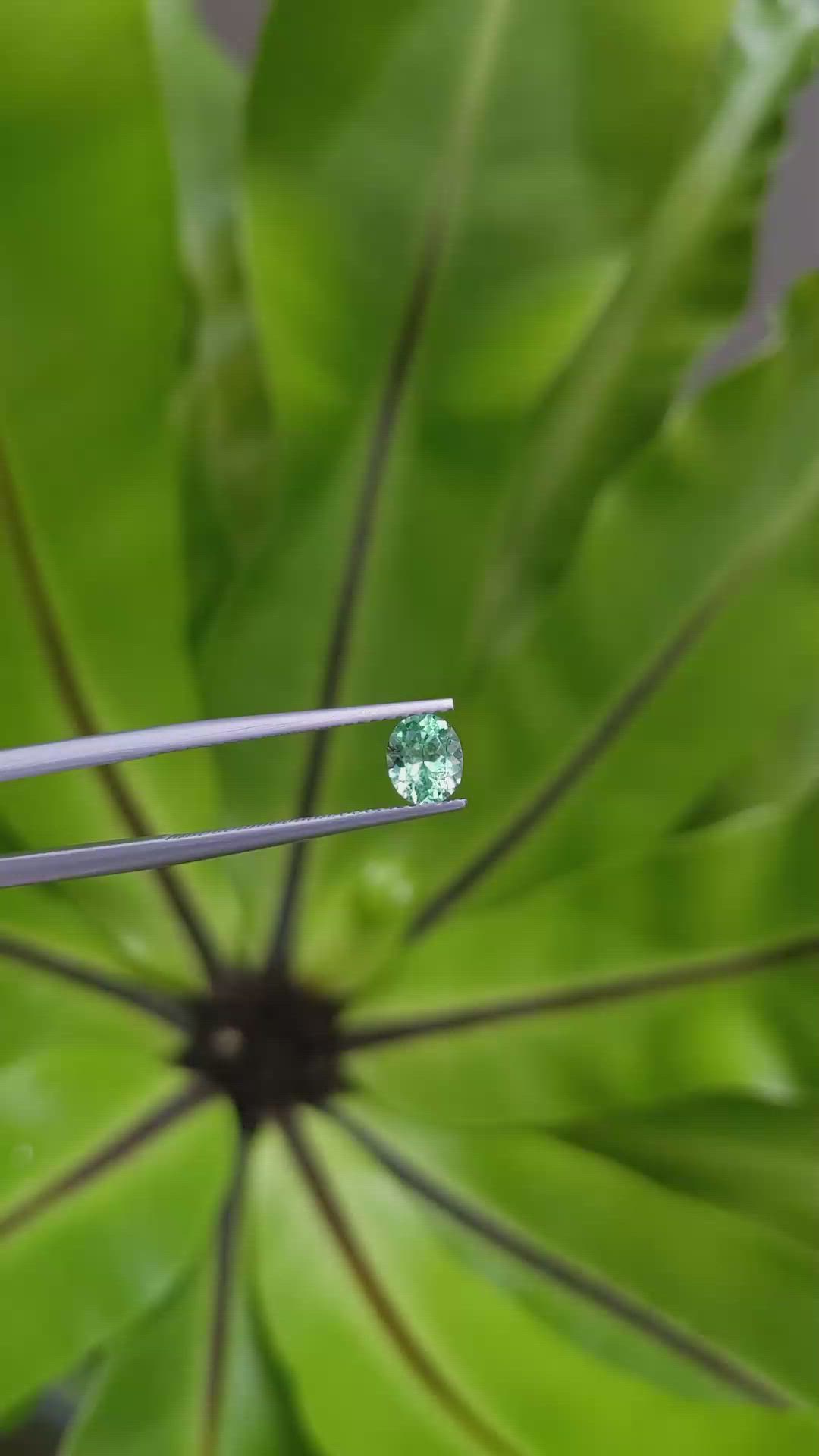 0.66 Ct. Emerald from Russia Size Video