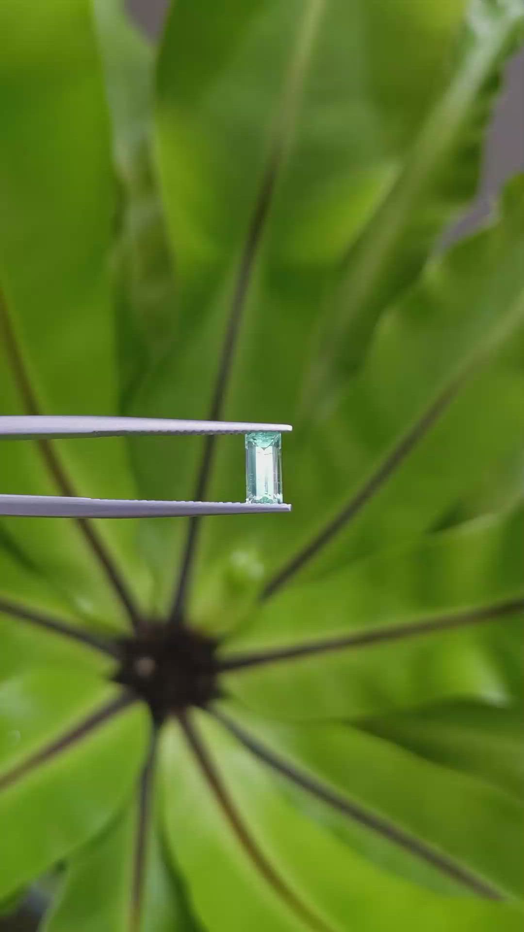 0.60 Ct. Emerald from Russia Size Video