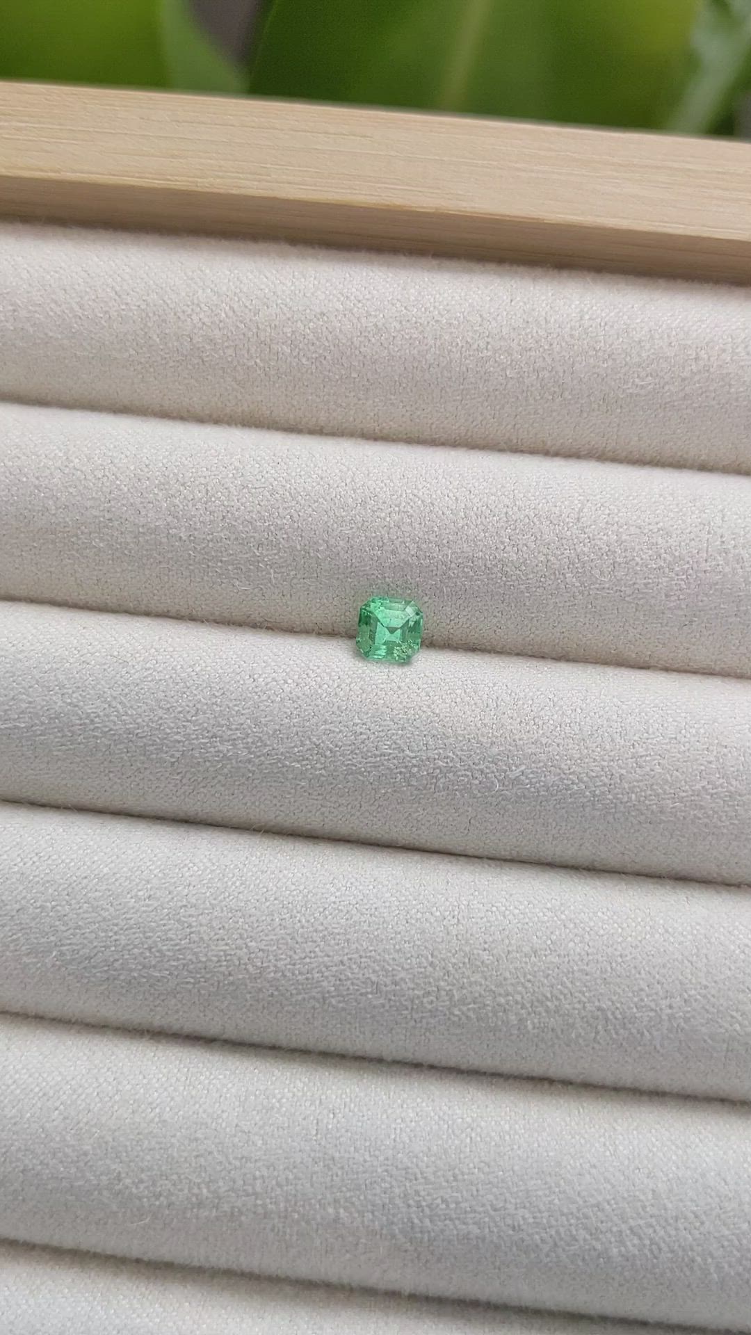 0.54 Ct. Emerald from Russia Size Video