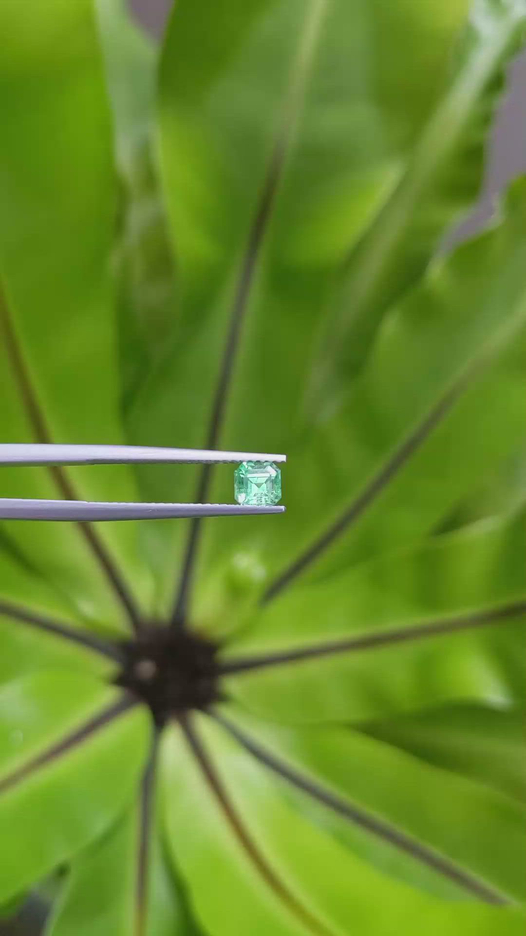 0.54 Ct. Emerald from Russia Size Video