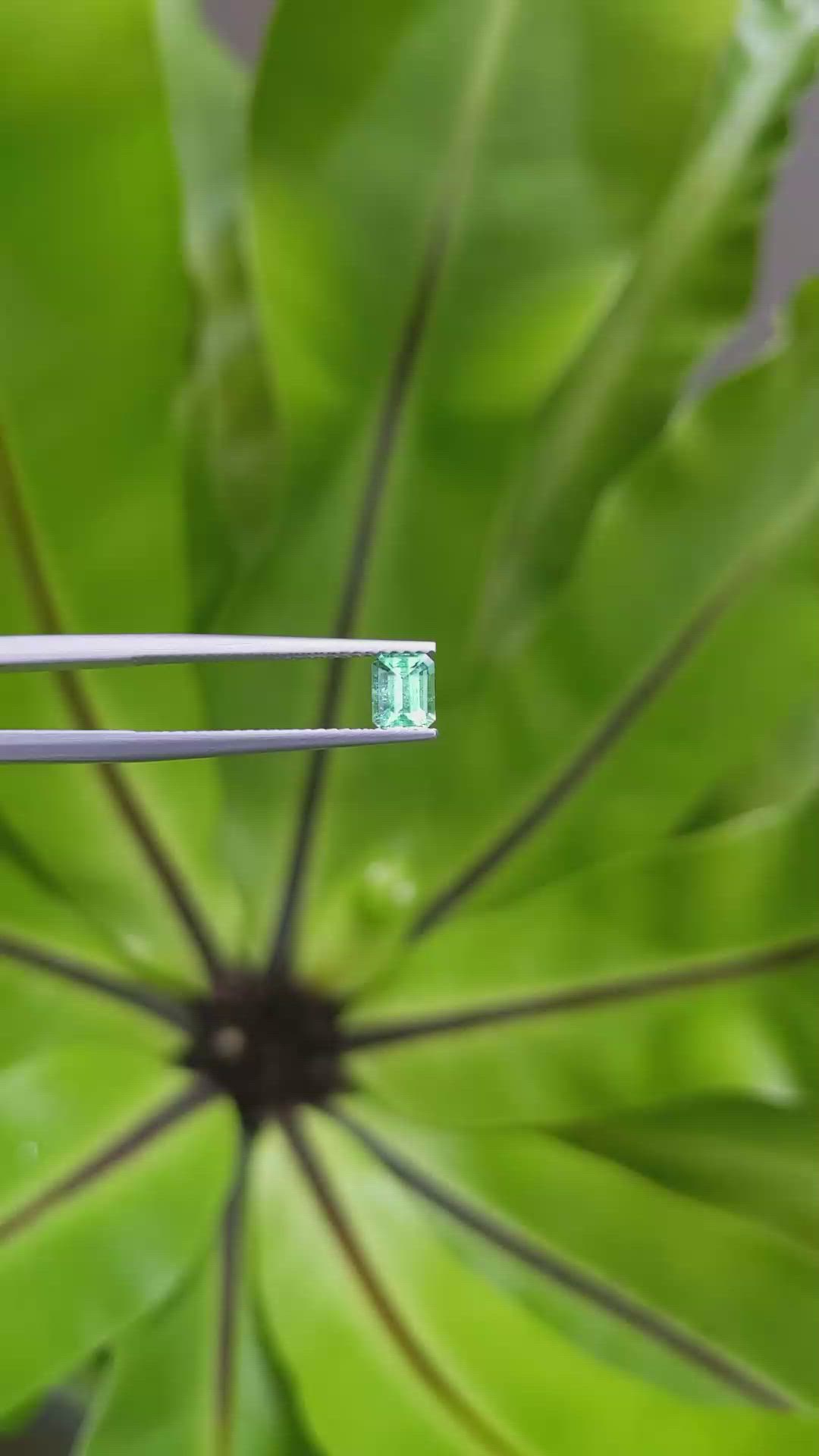 0.52 Ct. Emerald from Russia Size Video