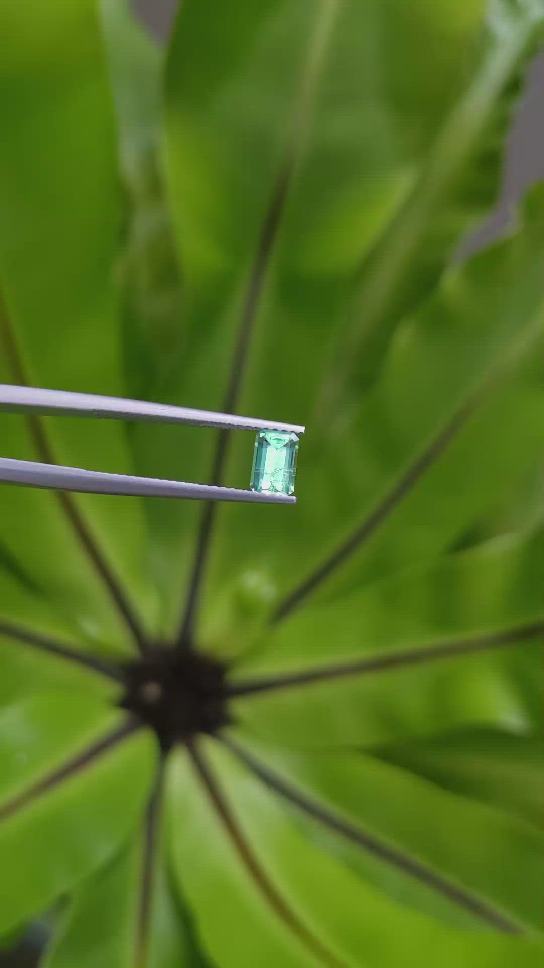 0.64 Ct. Emerald from Russia Size Video