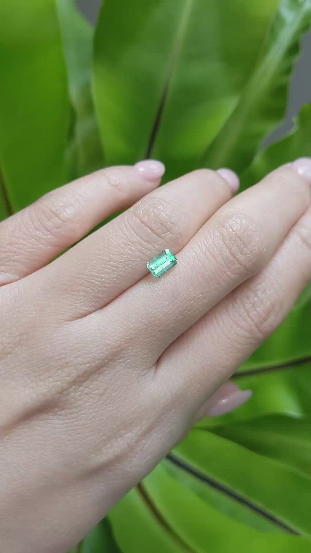 0.64 Ct. Emerald from Russia Size Video