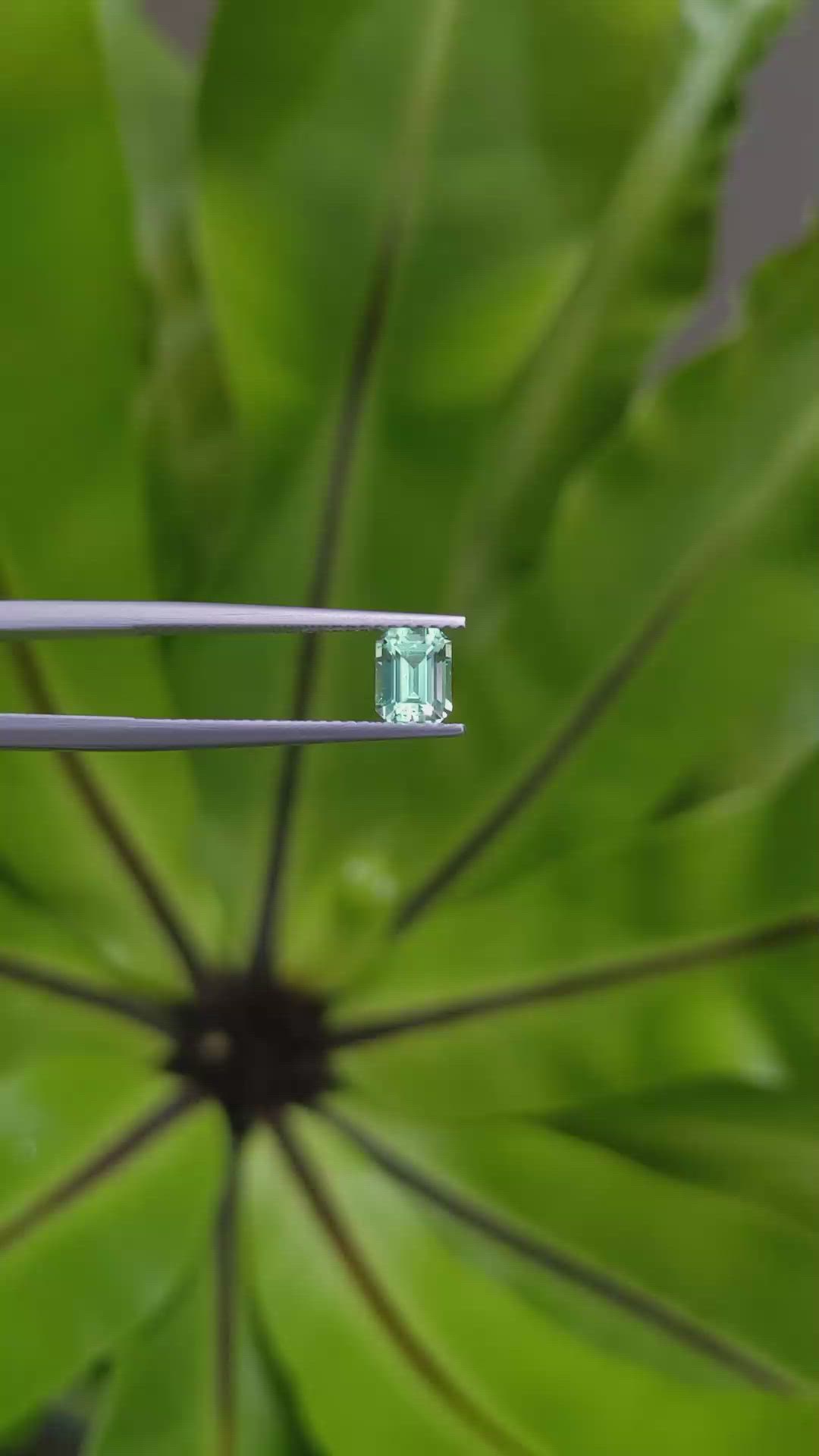 0.72 Ct. Emerald from Russia Size Video