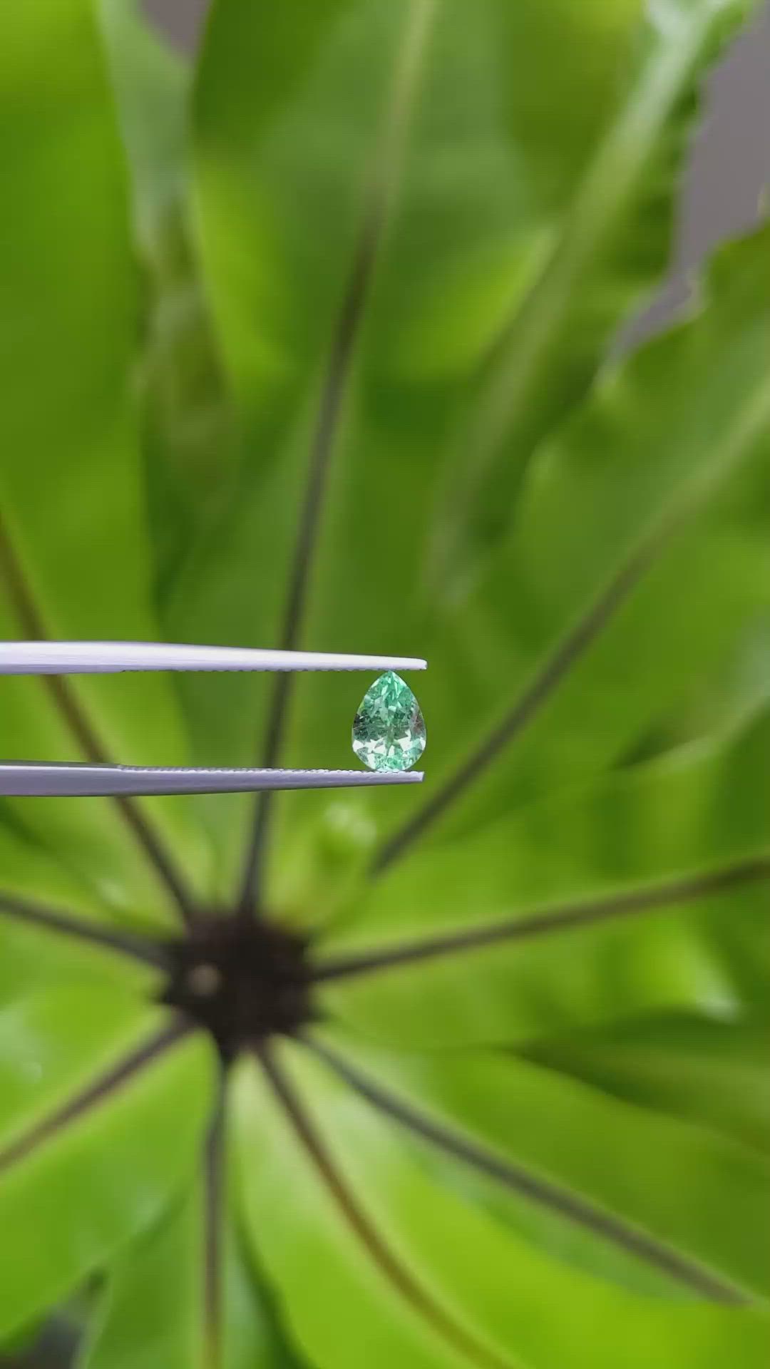 0.71 Ct. Emerald from Russia Size Video
