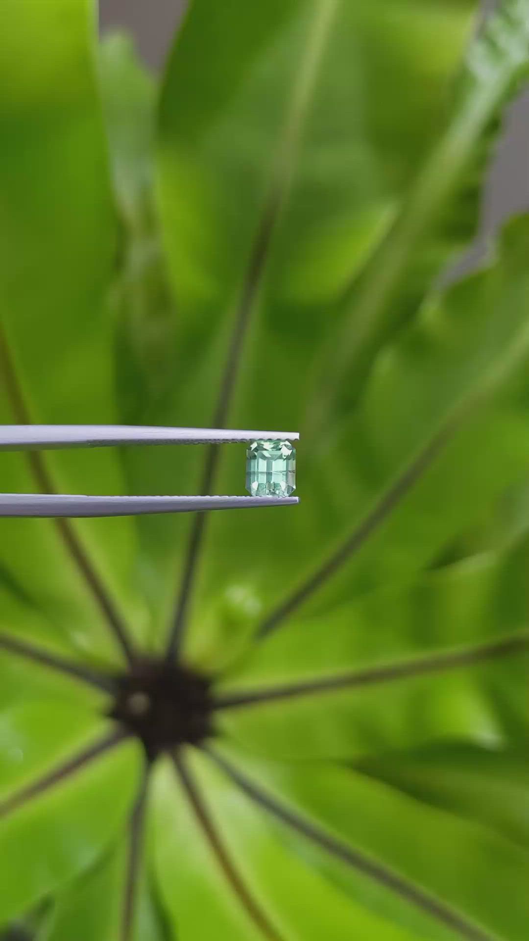 0.70 Ct. Emerald from Russia Size Video