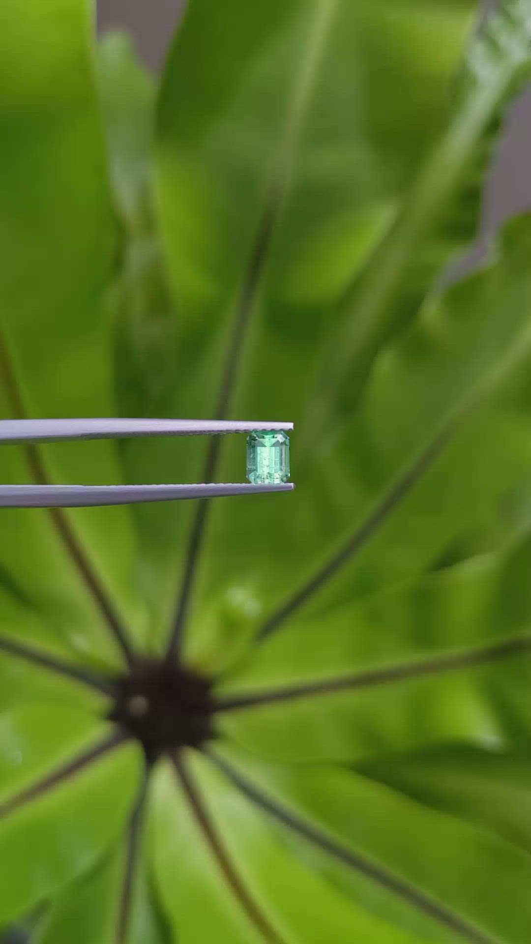 0.57 Ct. Emerald from Russia Size Video