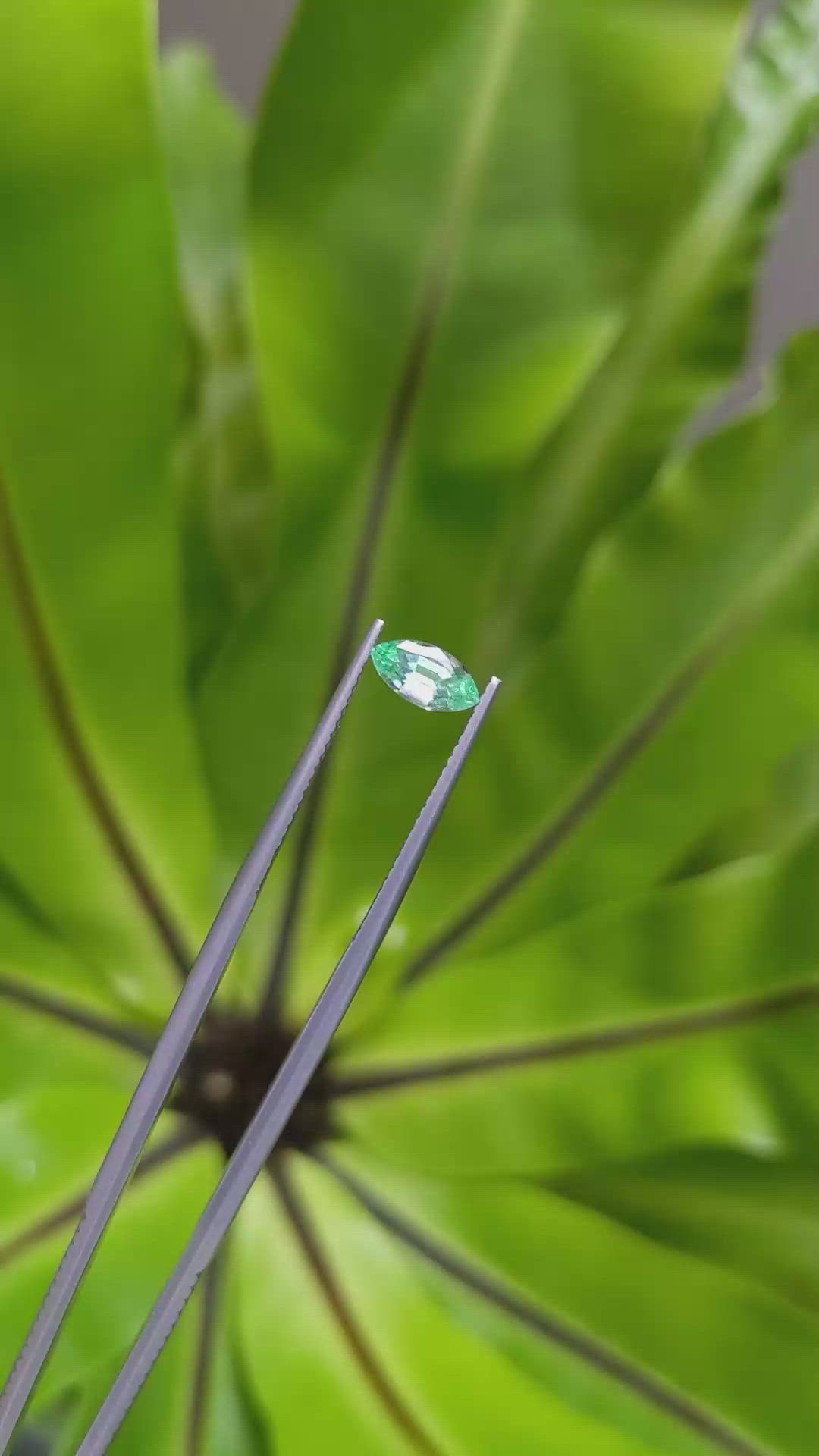 0.62 Ct. Emerald from Russia Size Video