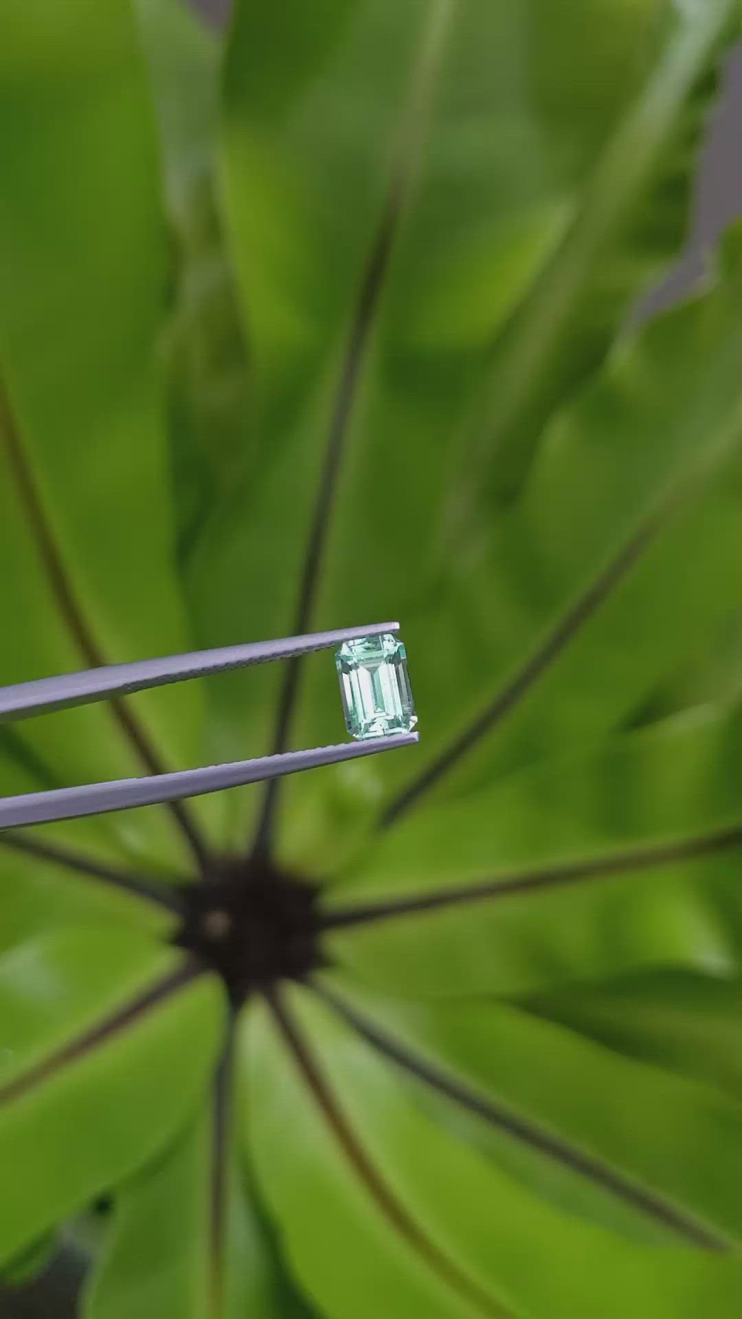 1.02 Ct. Emerald from Russia Size Video