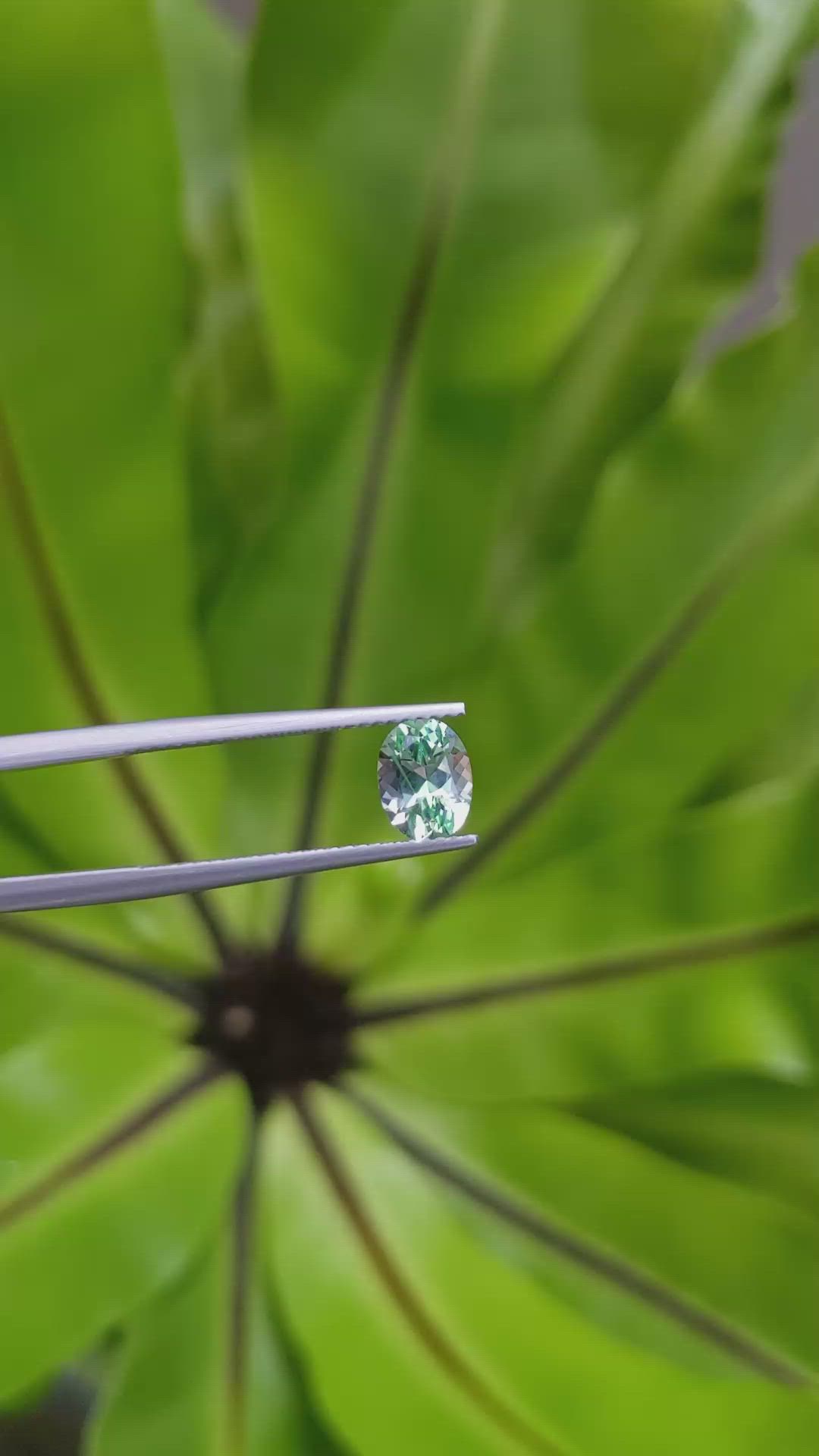1.03 Ct. Emerald from Russia Size Video