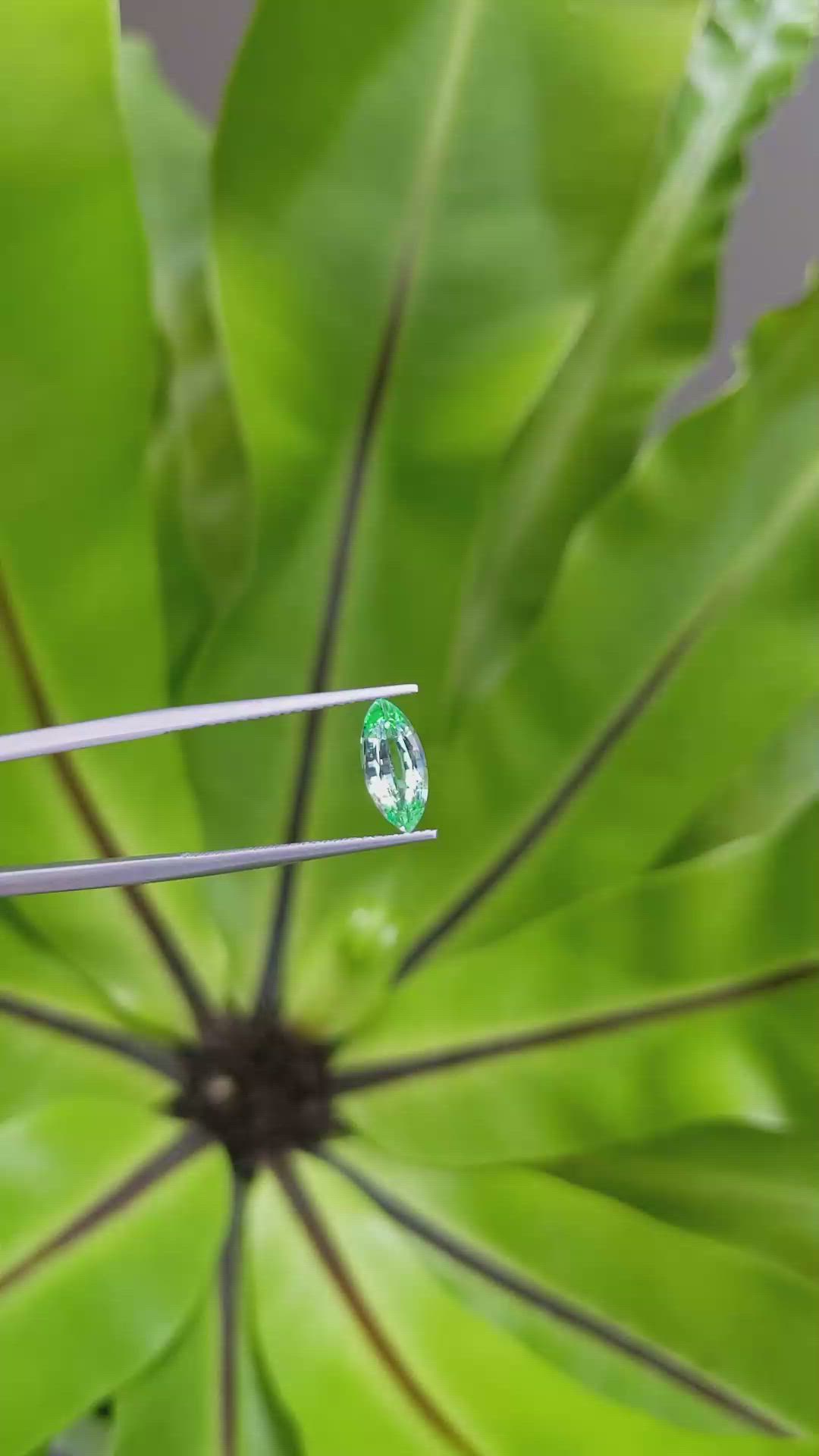 1.20 Ct. Emerald from Russia Size Video