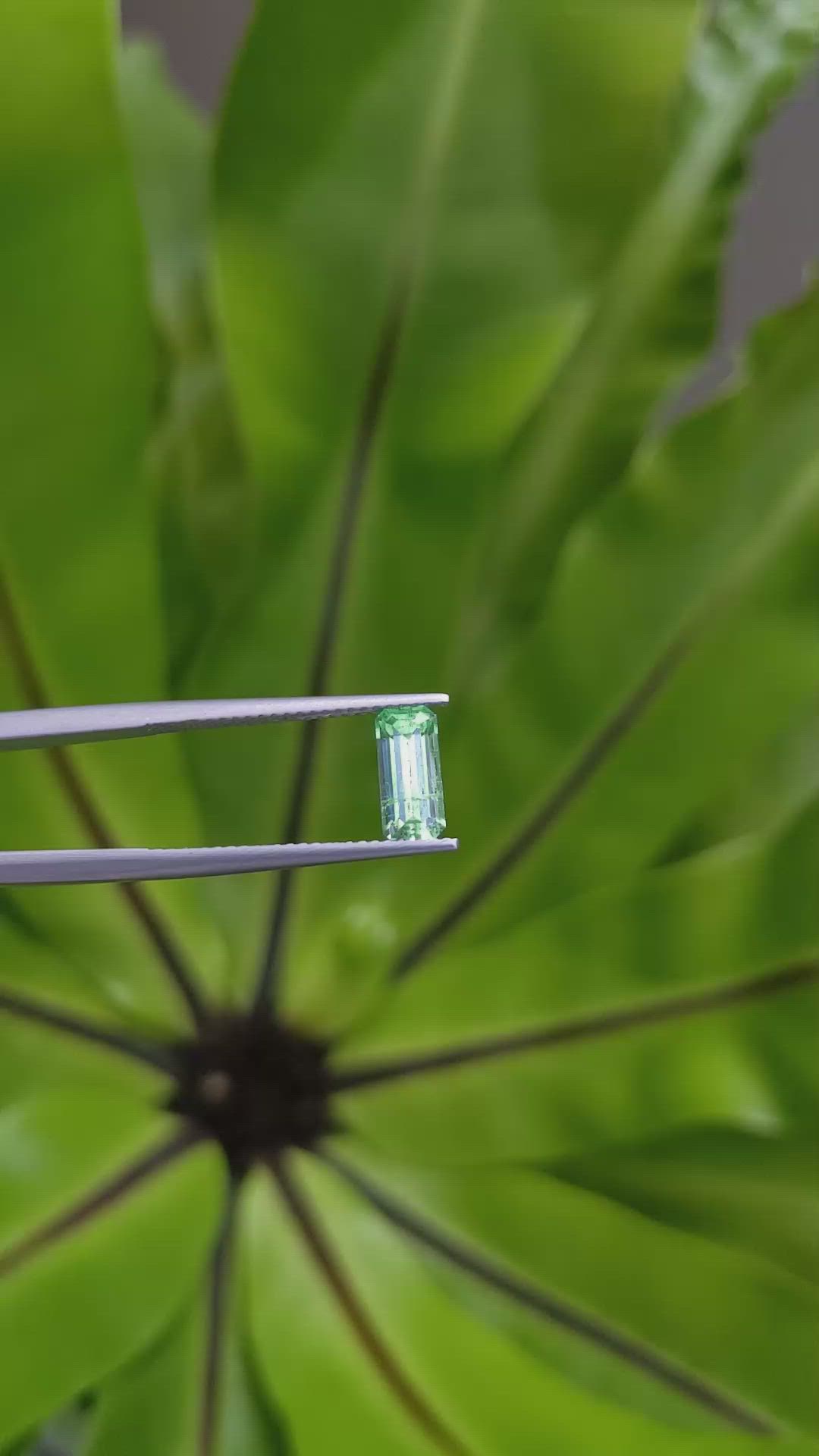1.09 Ct. Emerald from Russia Size Video