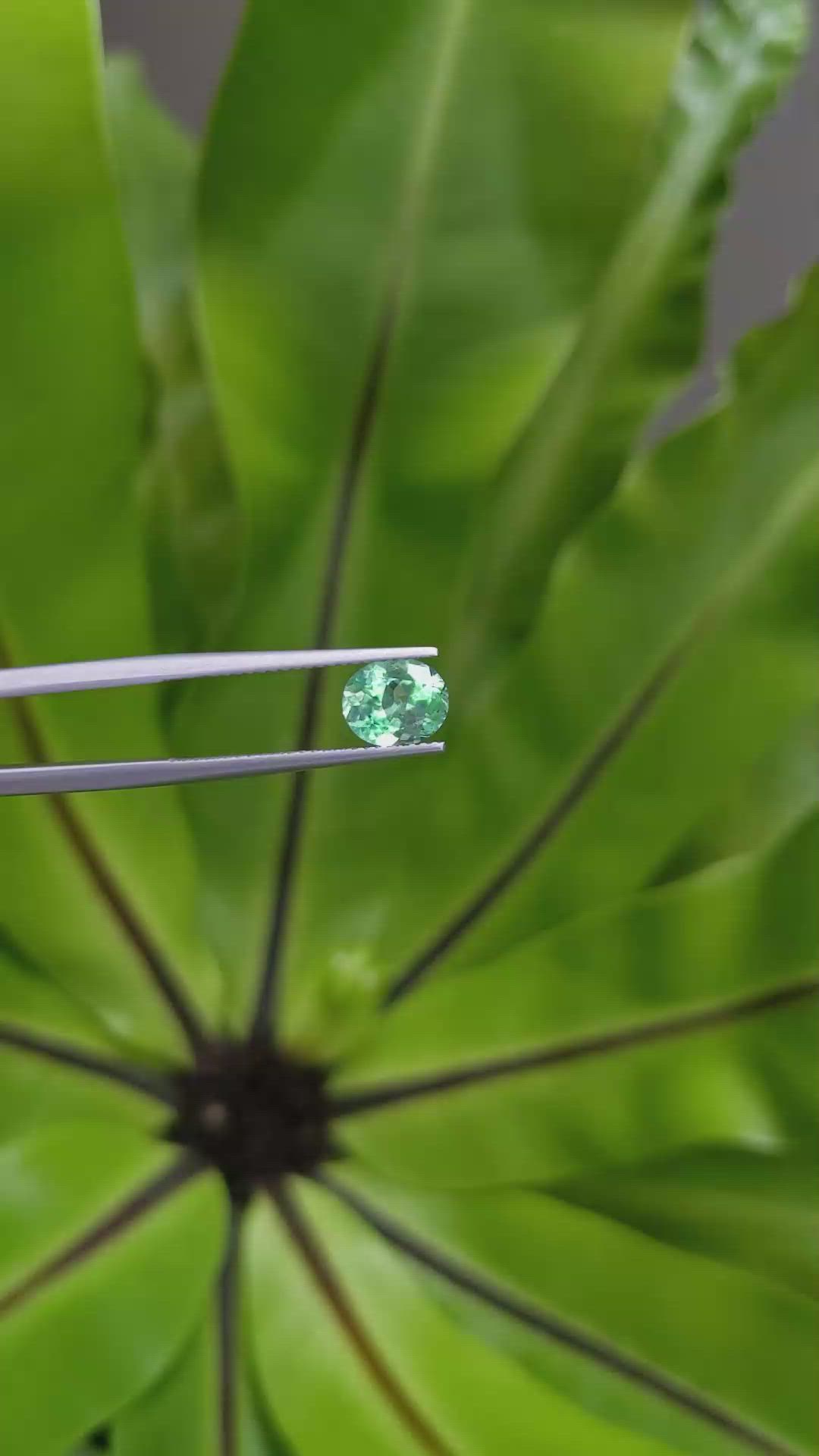 1.34 Ct. Emerald from Russia Size Video
