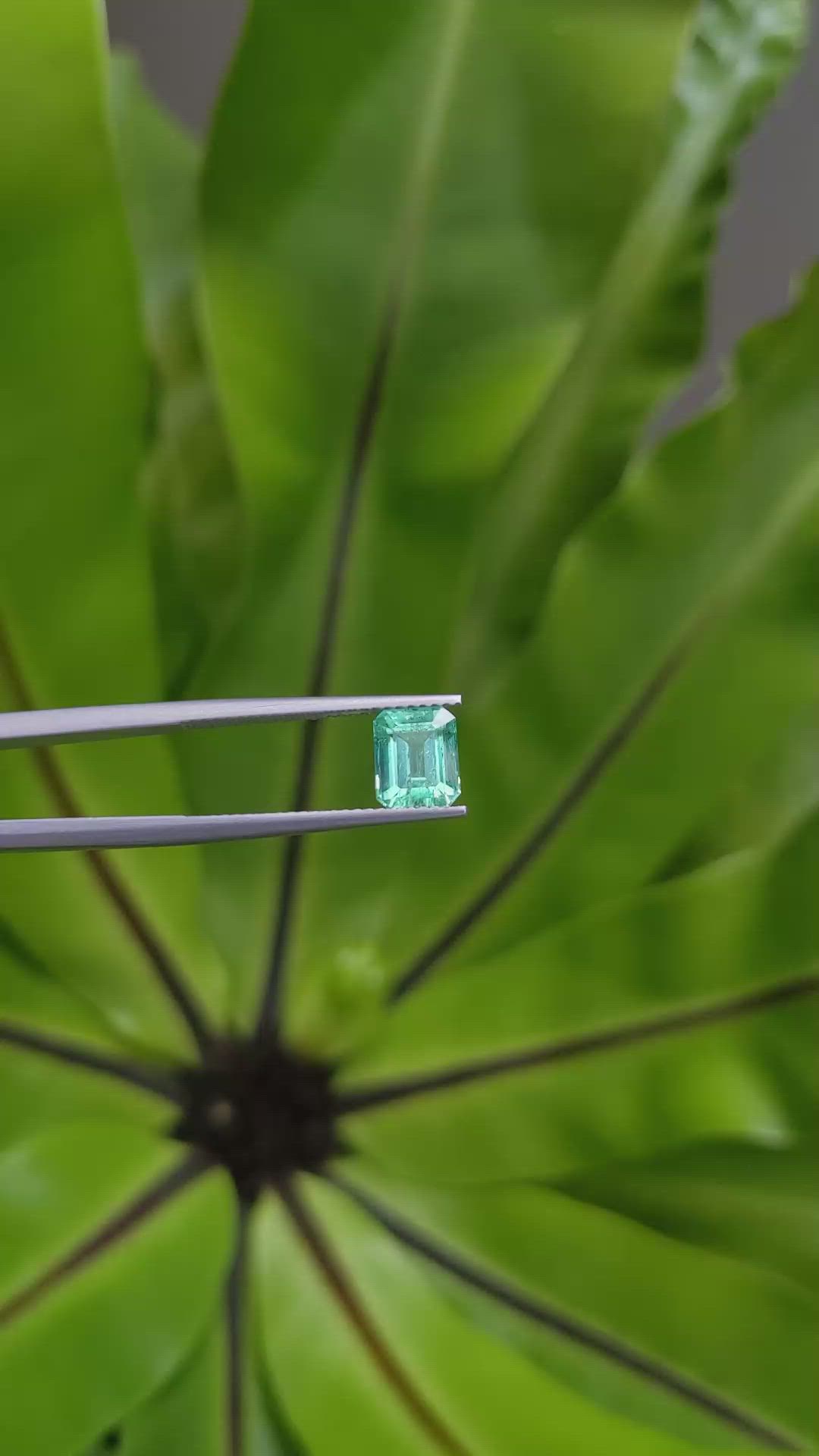 1.58 Ct. Emerald from Russia Size Video