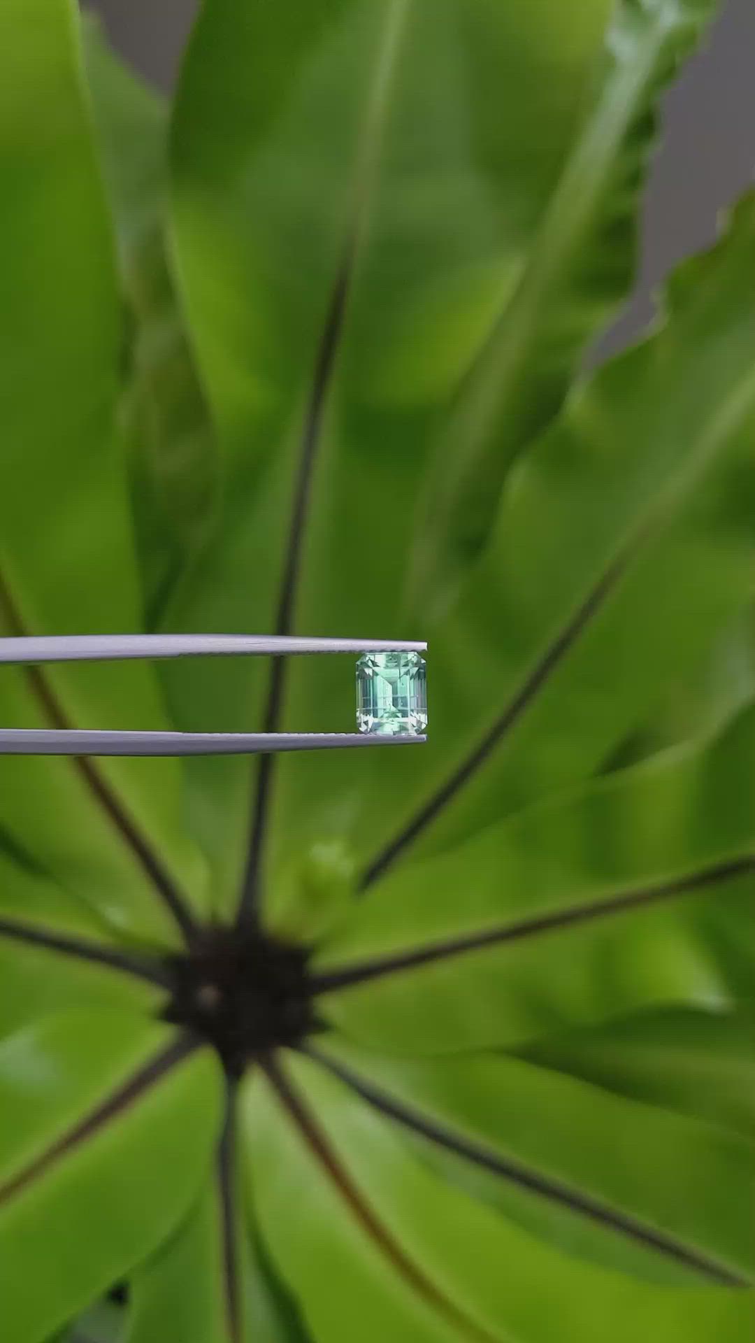 1.32 Ct. Emerald from Russia Size Video