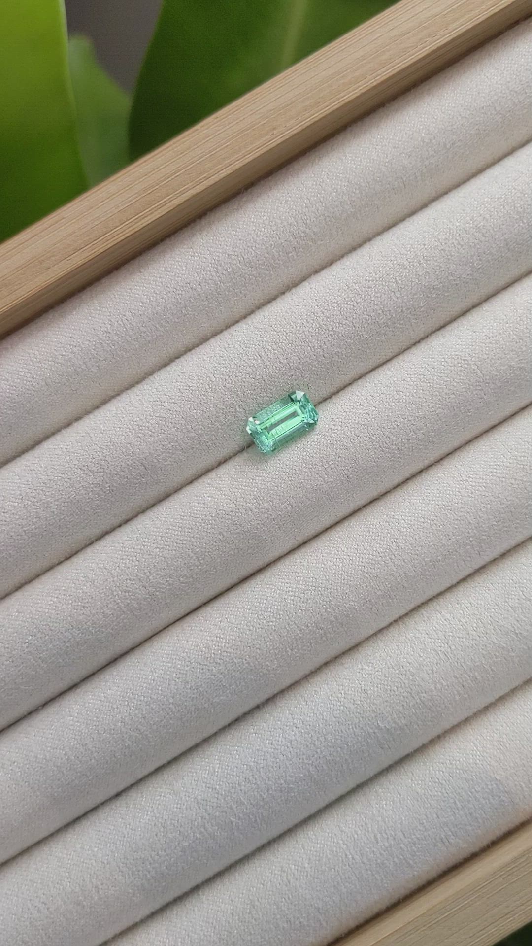 1.69 Ct. Emerald from Russia Size Video