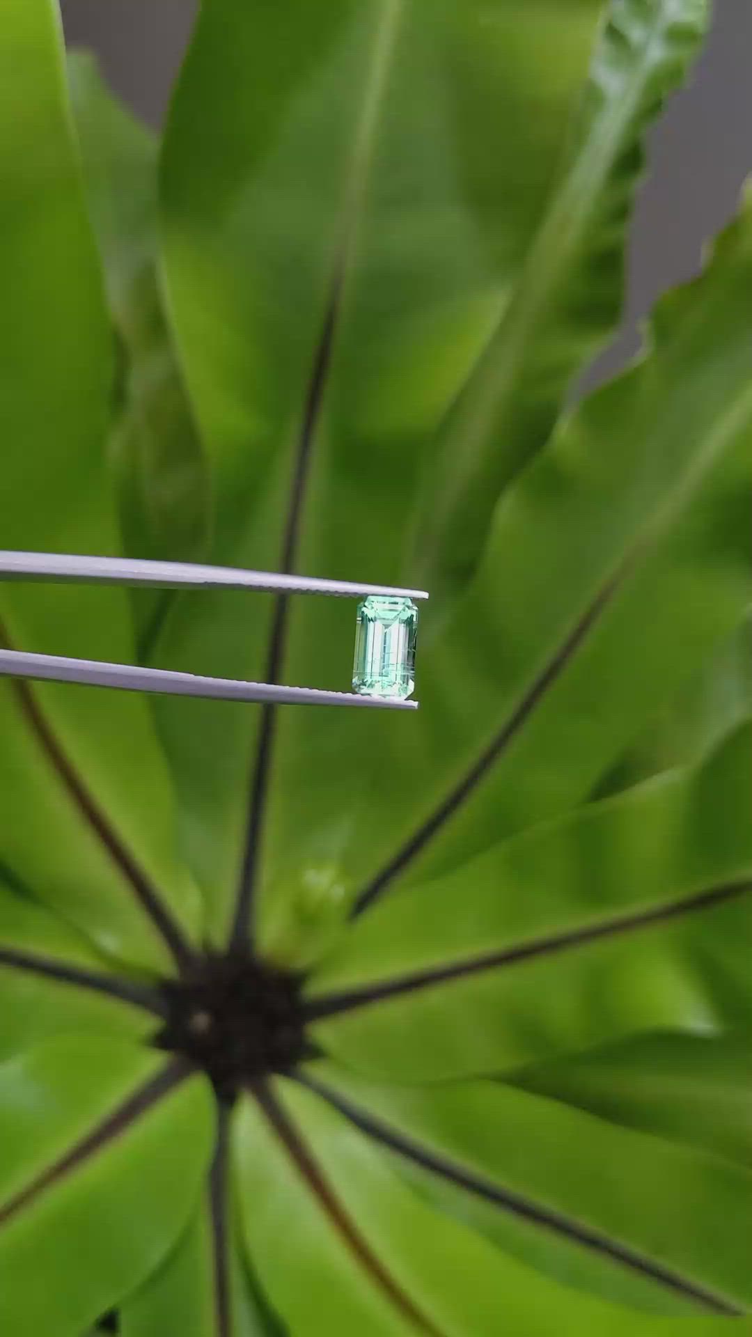 1.69 Ct. Emerald from Russia Size Video