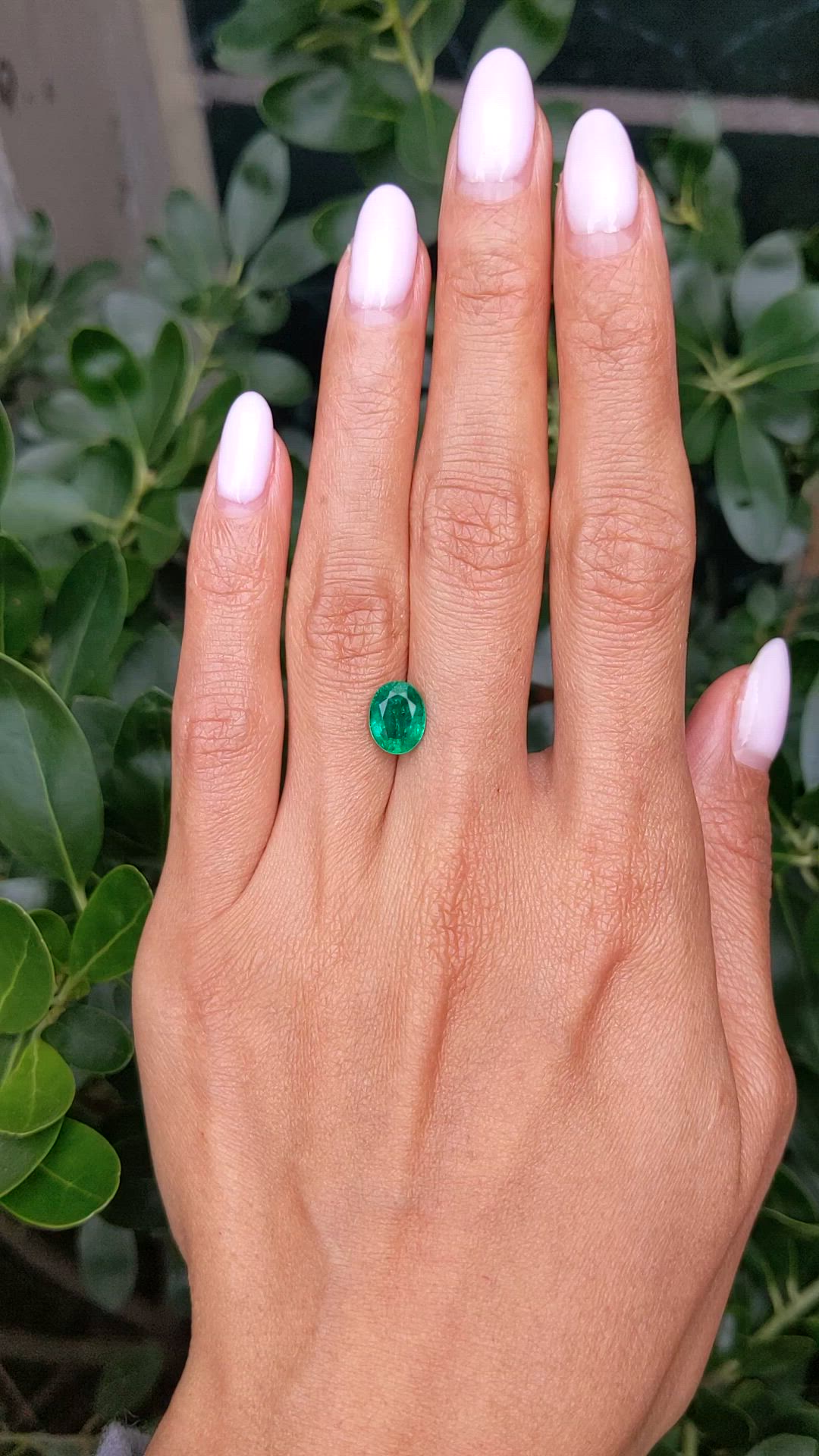 1.82 Ct. Emerald from Zambia Size Video