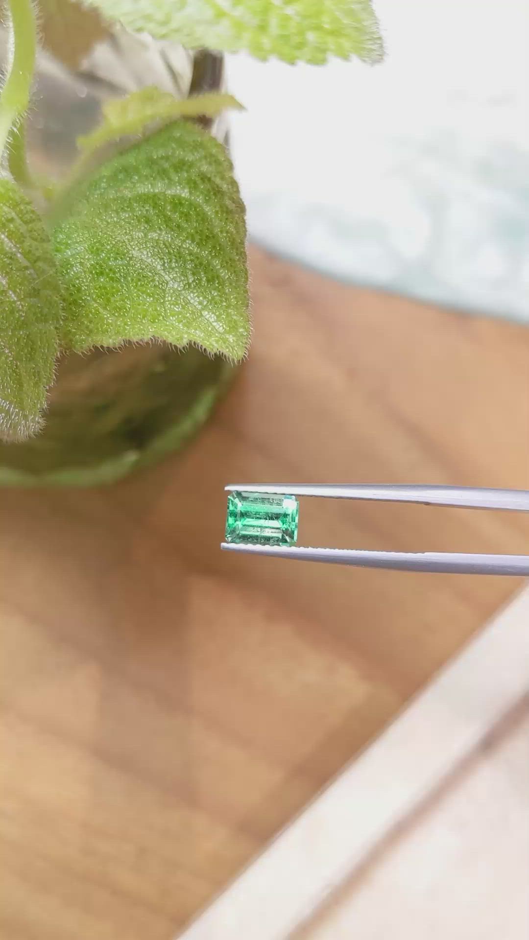 1.00 Ct. Emerald from Russia Size Video