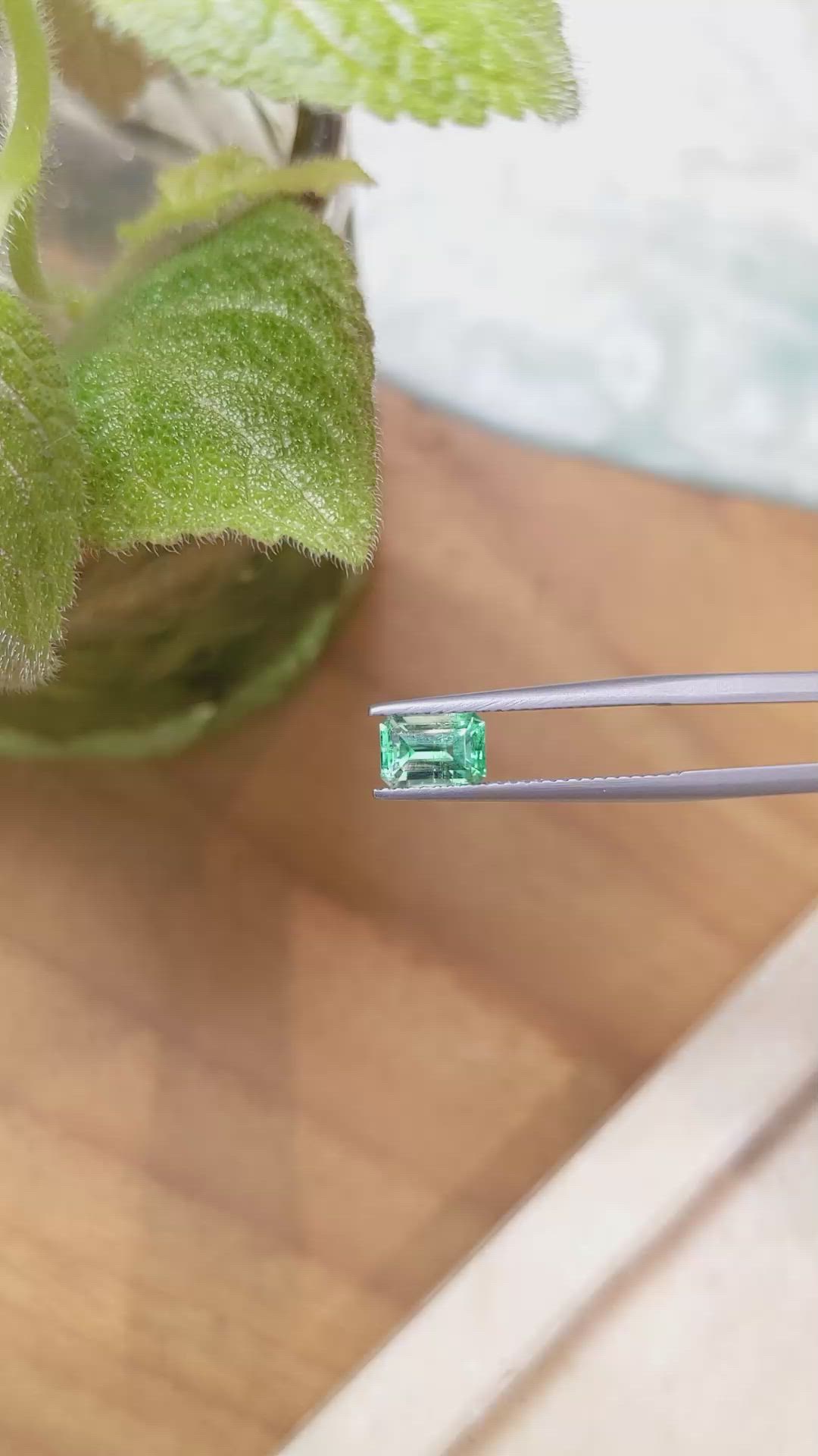 1.02 Ct. Emerald from Russia Size Video
