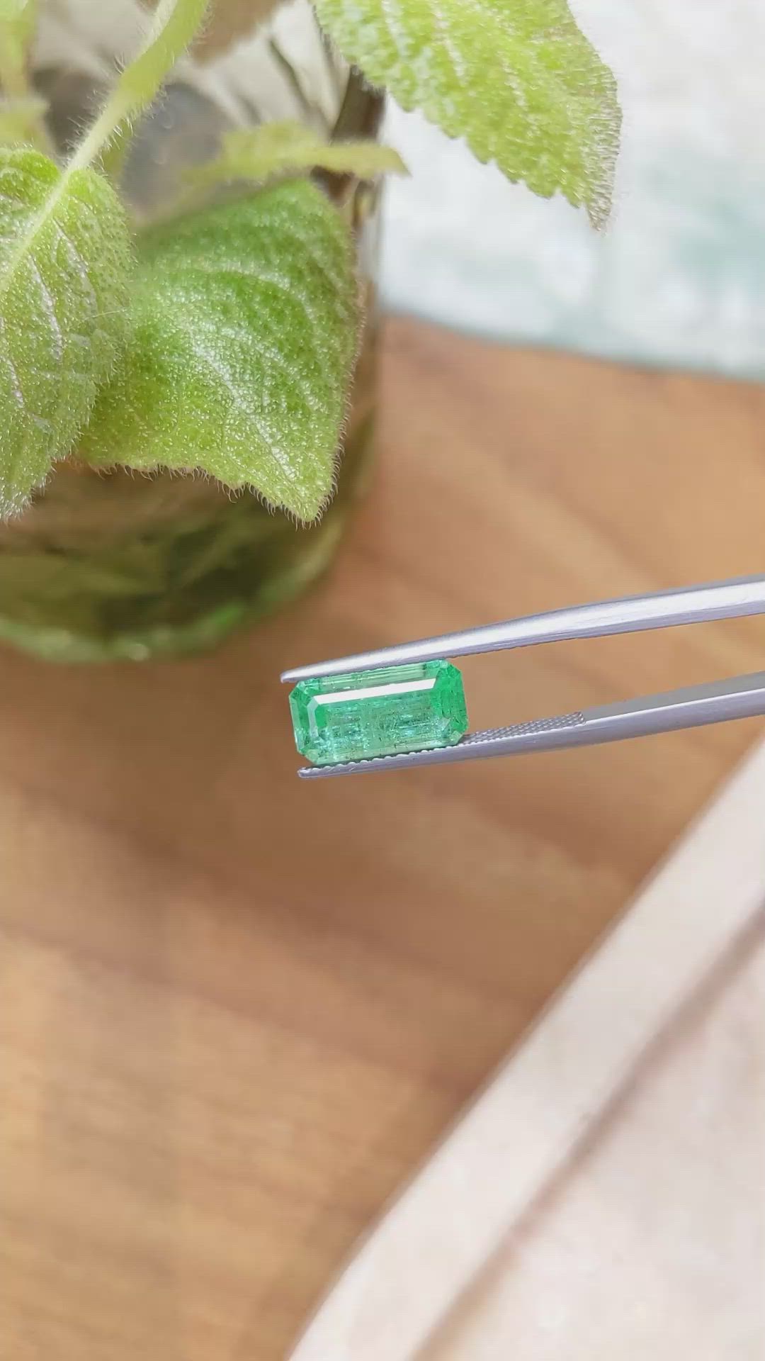 2.69 Ct. Emerald from Russia Size Video