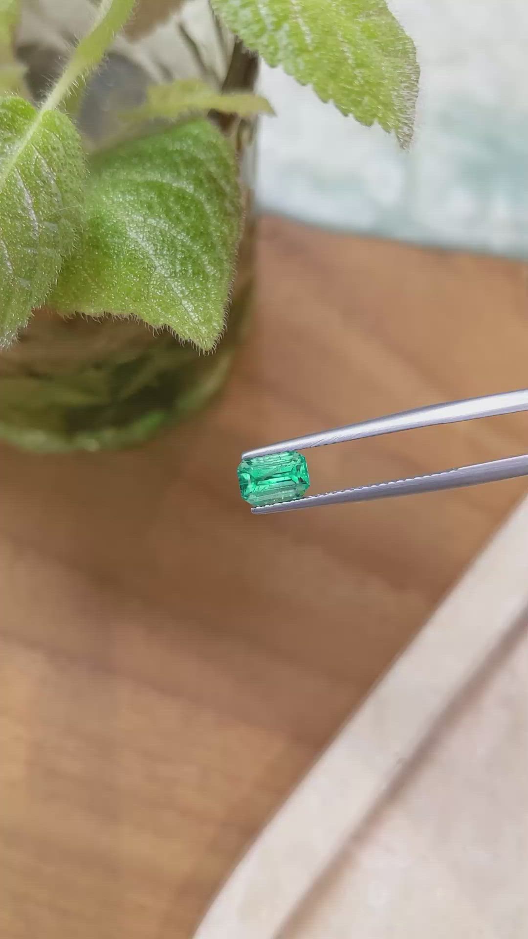 1.04 Ct. Emerald from Russia Size Video