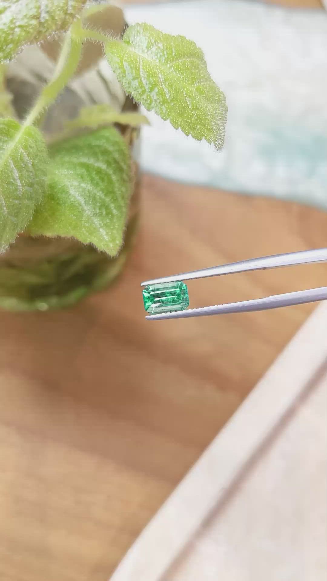 1.14 Ct. Emerald from Russia Size Video