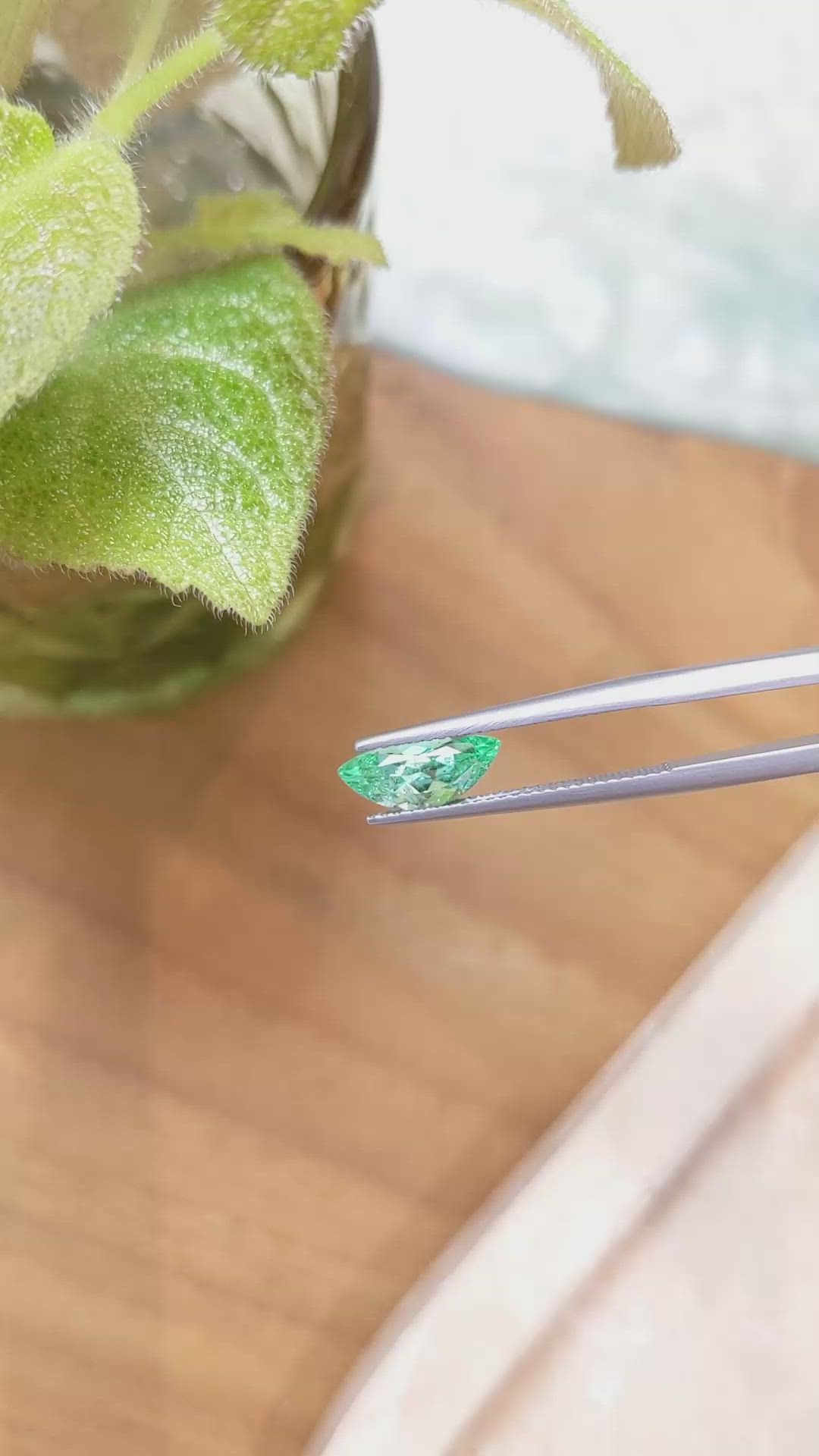 1.16 Ct. Emerald from Russia Size Video