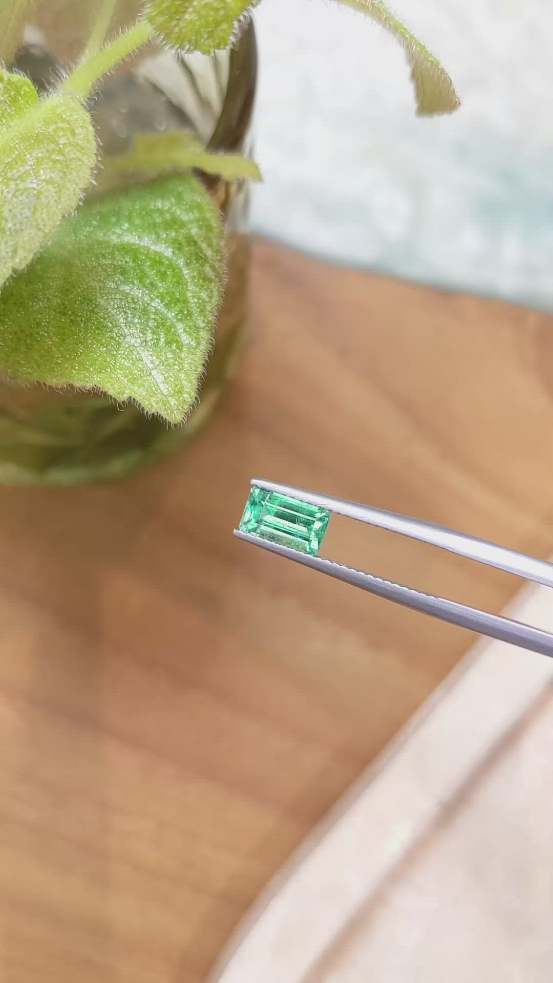 1.07 Ct. Emerald from Russia Size Video