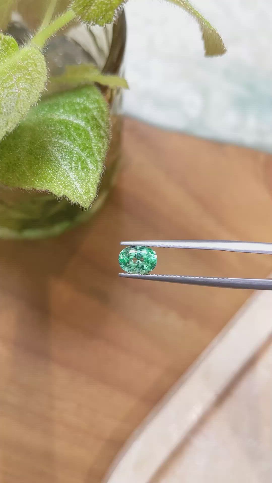 1.02 Ct. Emerald from Russia Size Video