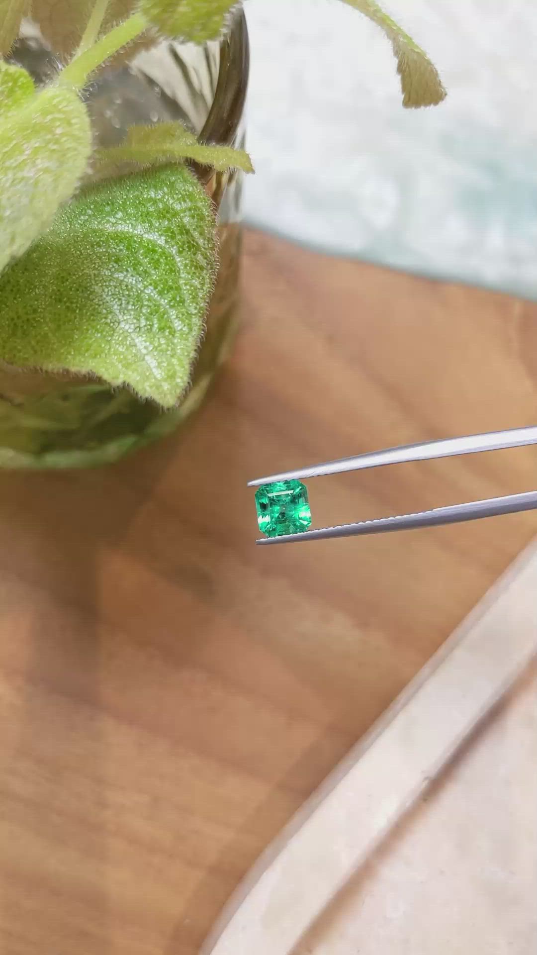 1.20 Ct. Emerald from Russia Size Video