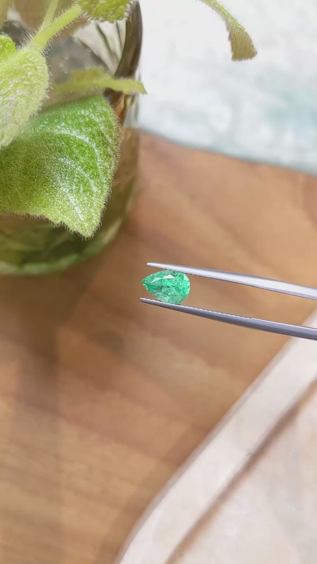 1.31 Ct. Emerald from Russia Size Video