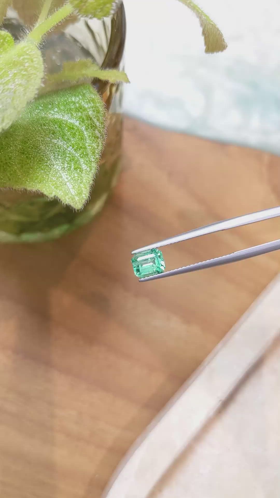 1.15 Ct. Emerald from Russia Size Video