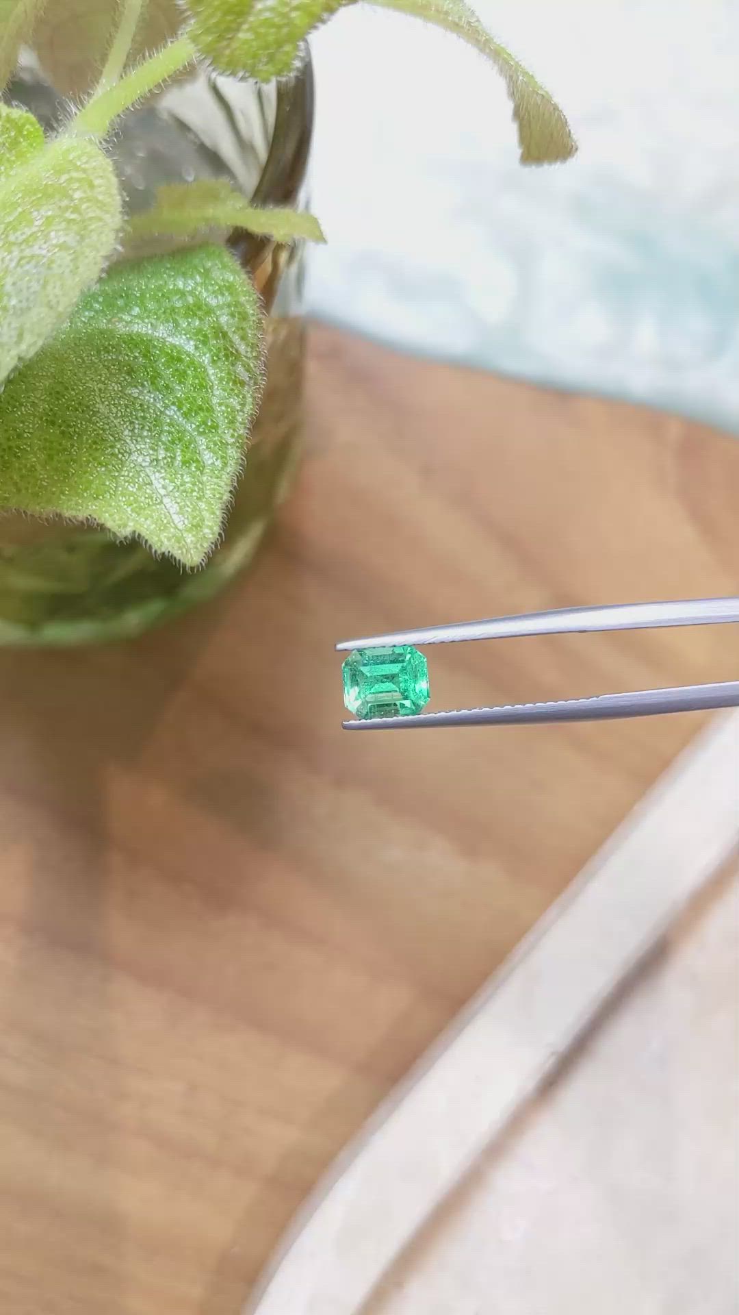1.23 Ct. Emerald from Russia Size Video