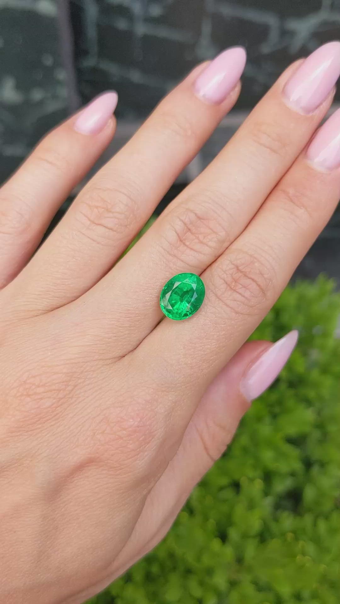 3.46 Ct. Emerald from Zambia Size Video