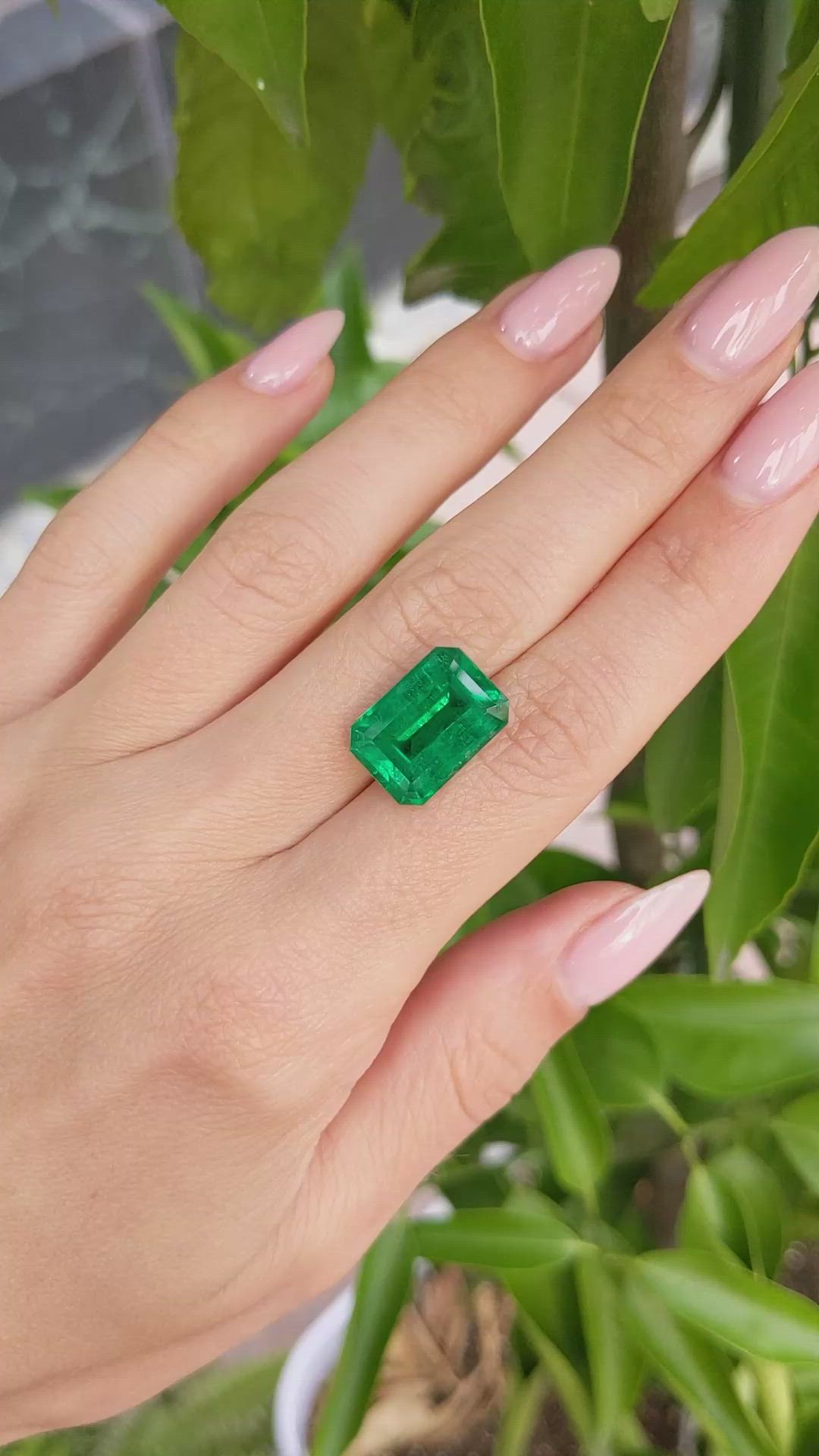 8.95 Ct. Emerald from Zambia Size Video