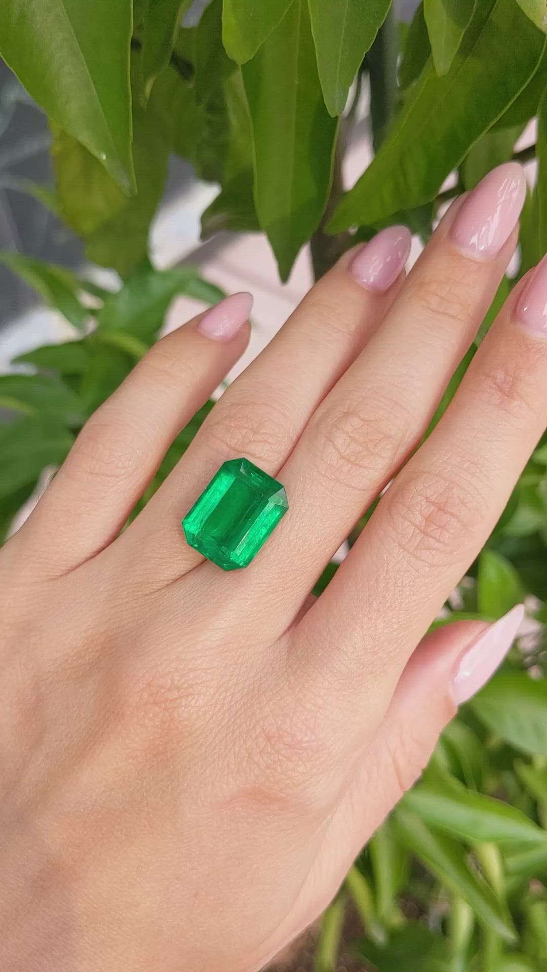 9.77 Ct. Emerald from Zambia Size Video