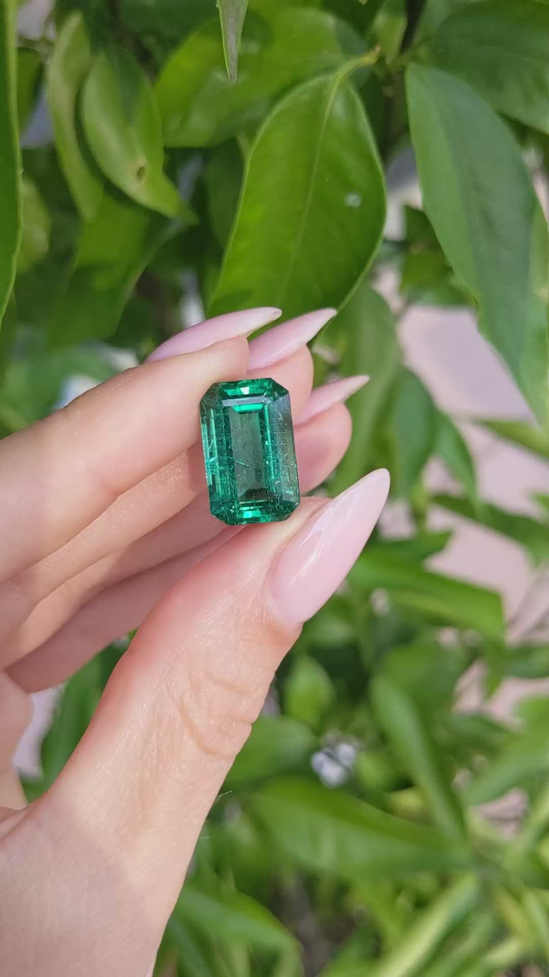 11.50 Ct. Emerald from Zambia Size Video