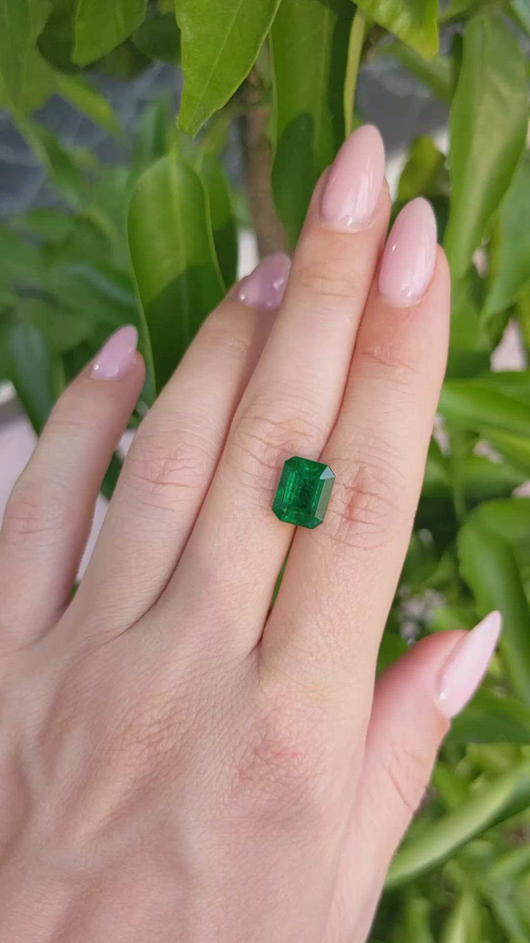 3.20 Ct. Emerald from Zambia Size Video