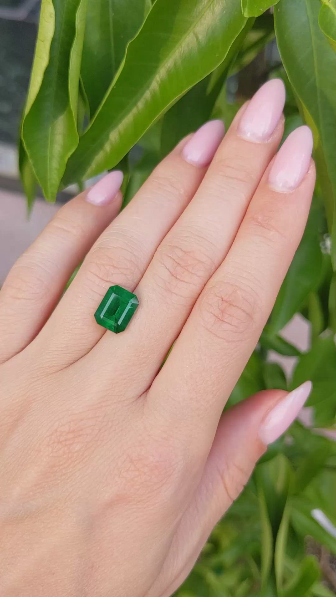 3.20 Ct. Emerald from Zambia Size Video