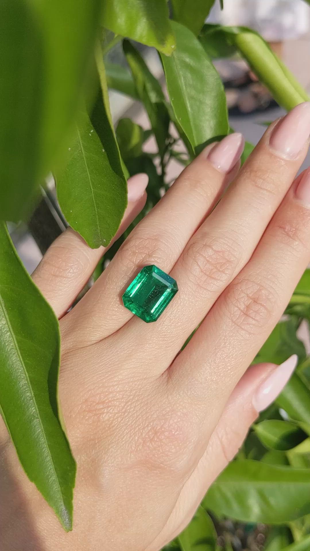 7.39 Ct. Emerald from Zambia Size Video