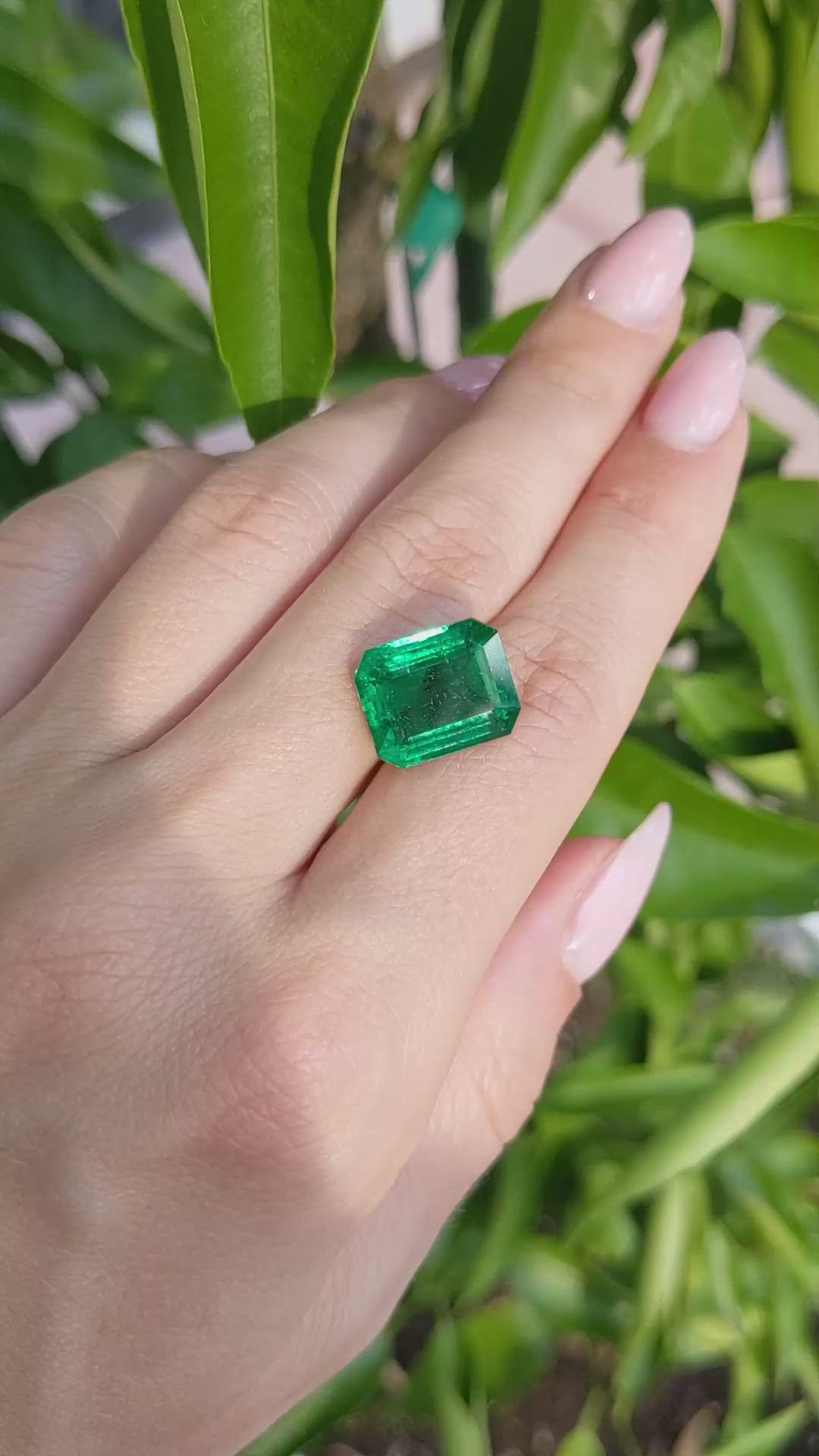 7.39 Ct. Emerald from Zambia Size Video