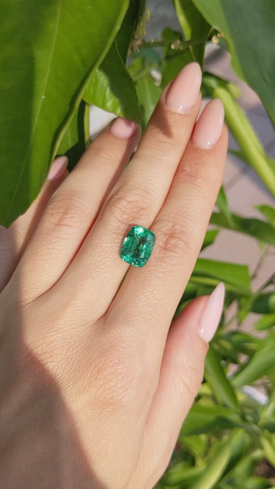4.40 Ct. Emerald from Zambia Size Video