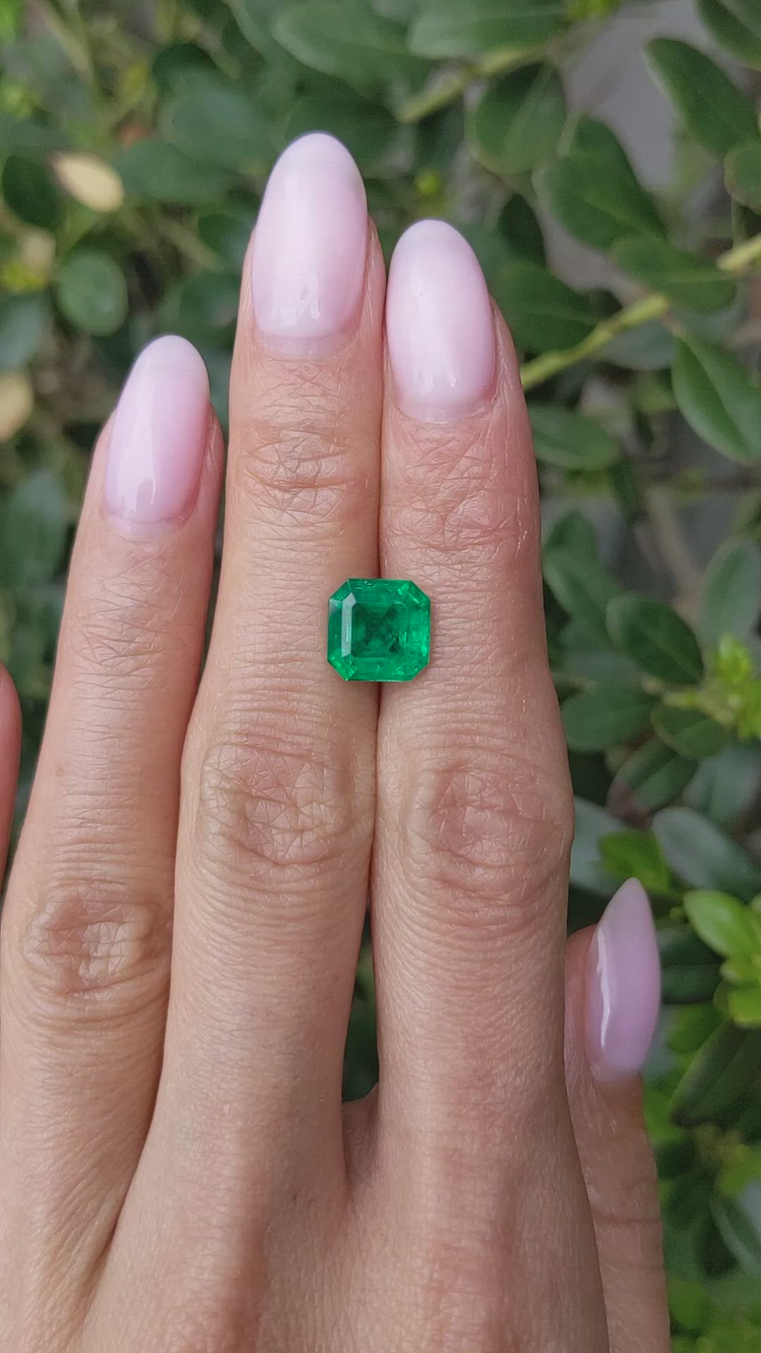2.47 Ct. Emerald from Zambia Size Video