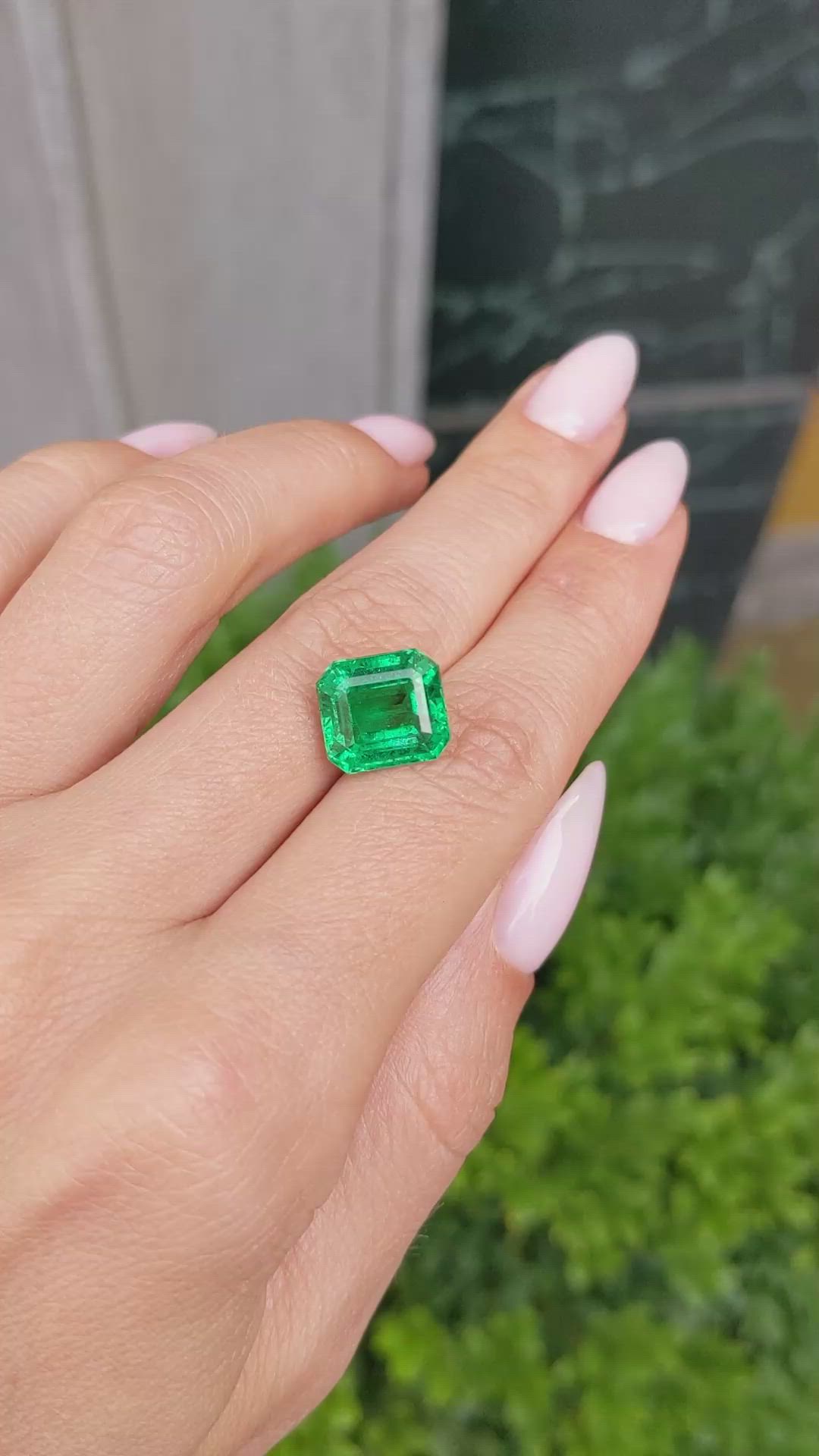 5.32 Ct. Emerald from Zambia Size Video