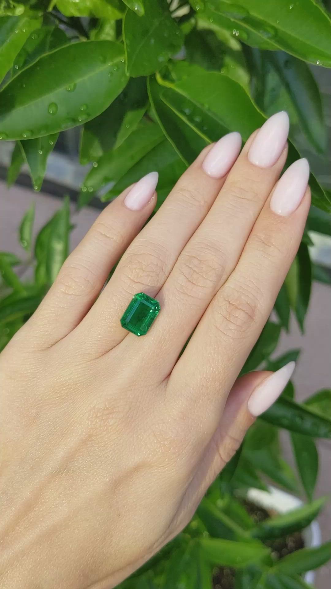 4.80 Ct. Emerald from Zambia Size Video