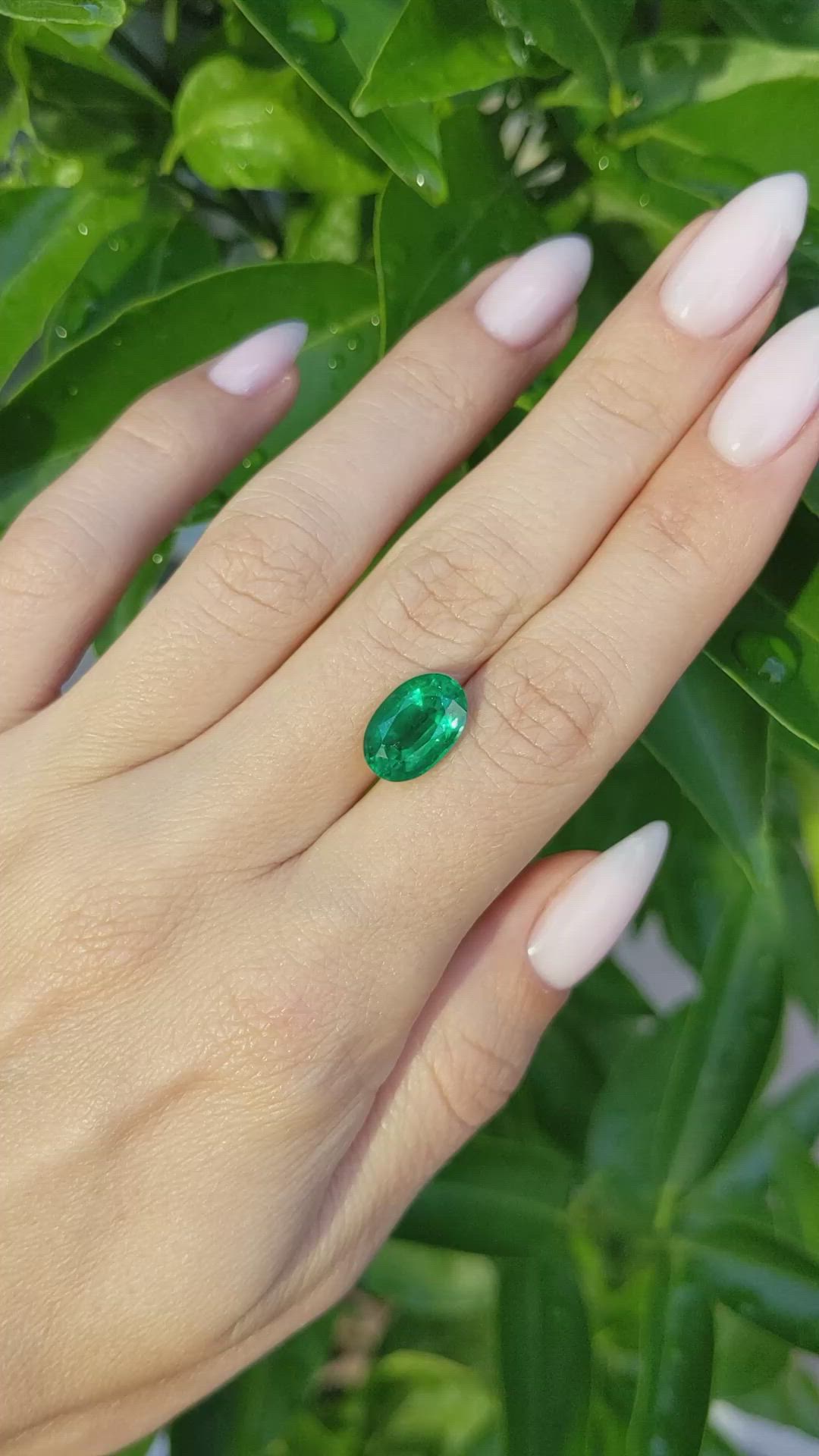 3.86 Ct. Emerald from Zambia Size Video