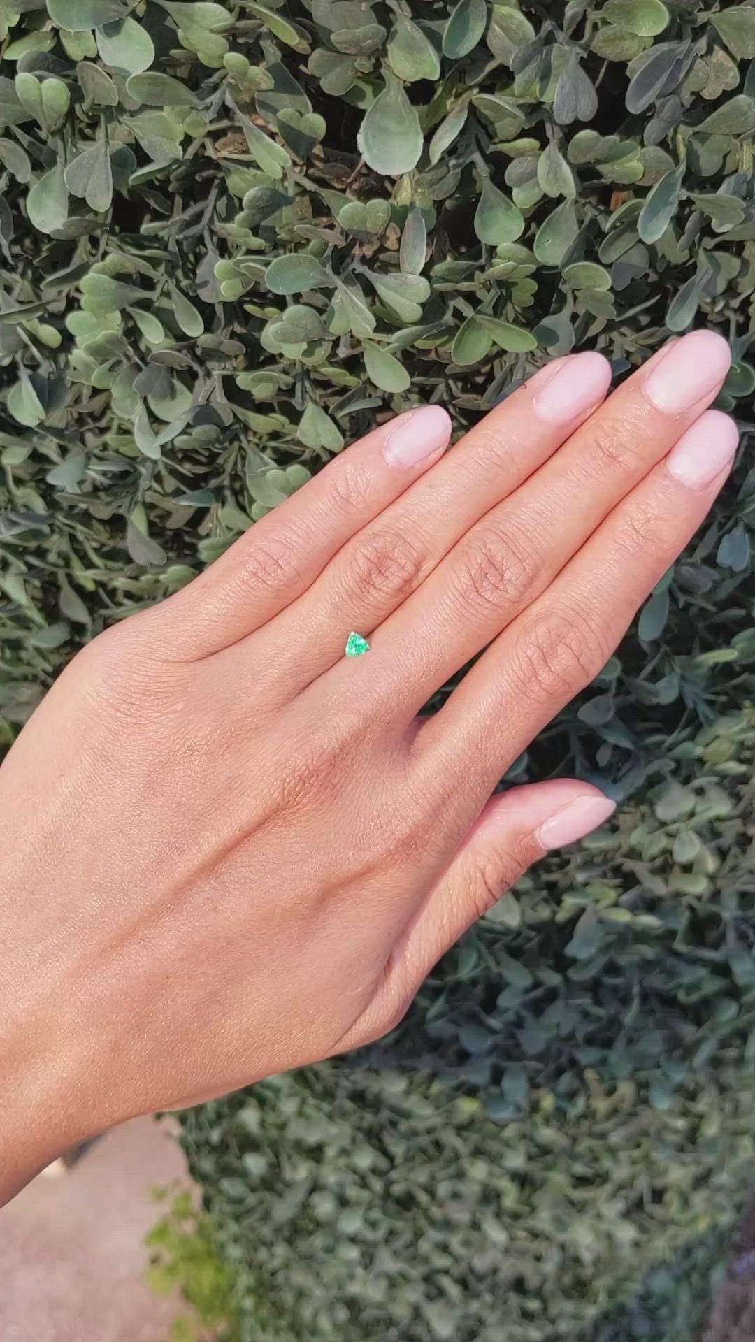 0.19 Ct. Emerald from Afghanistan Size Video